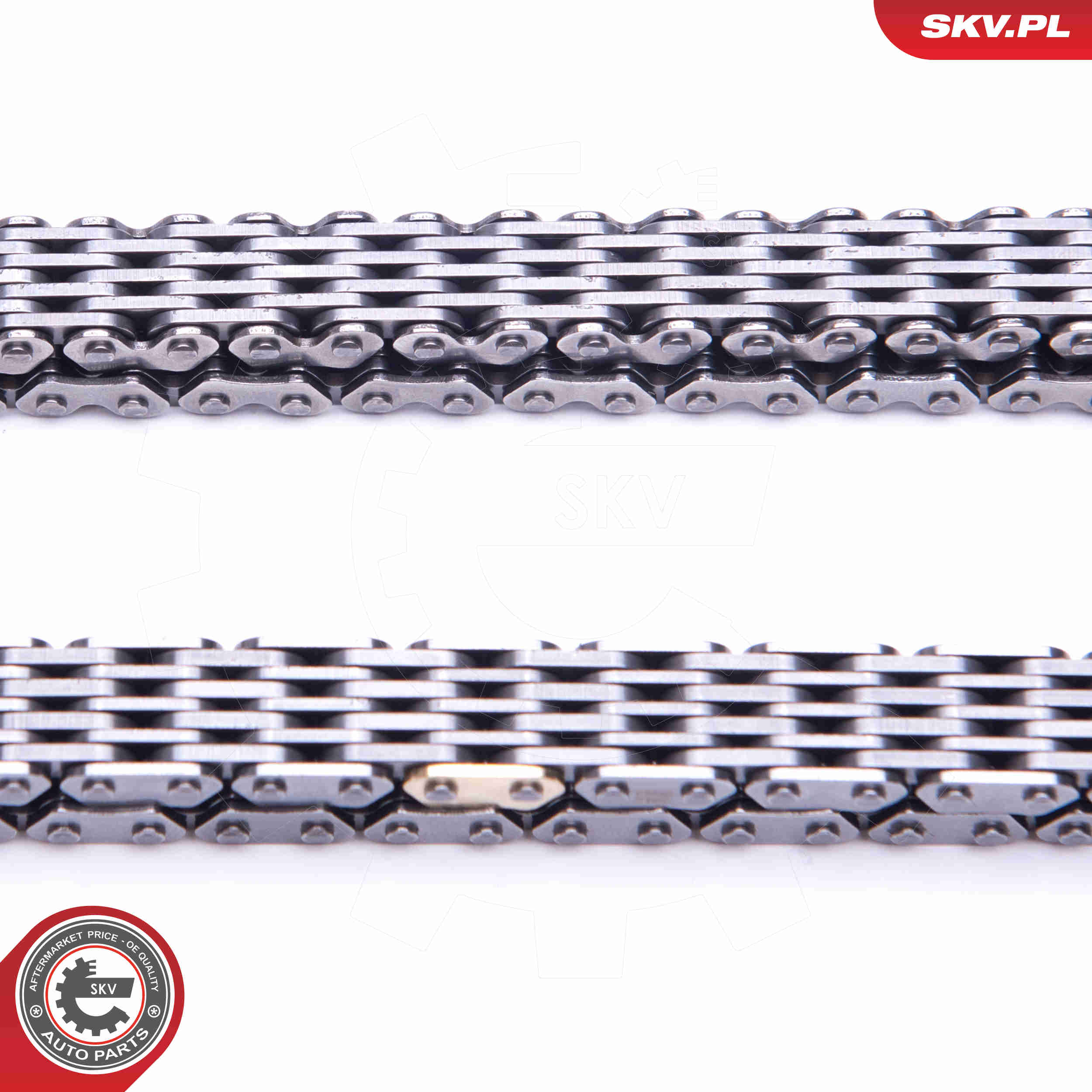 Timing Chain Kit - 21SKV125 ESEN SKV