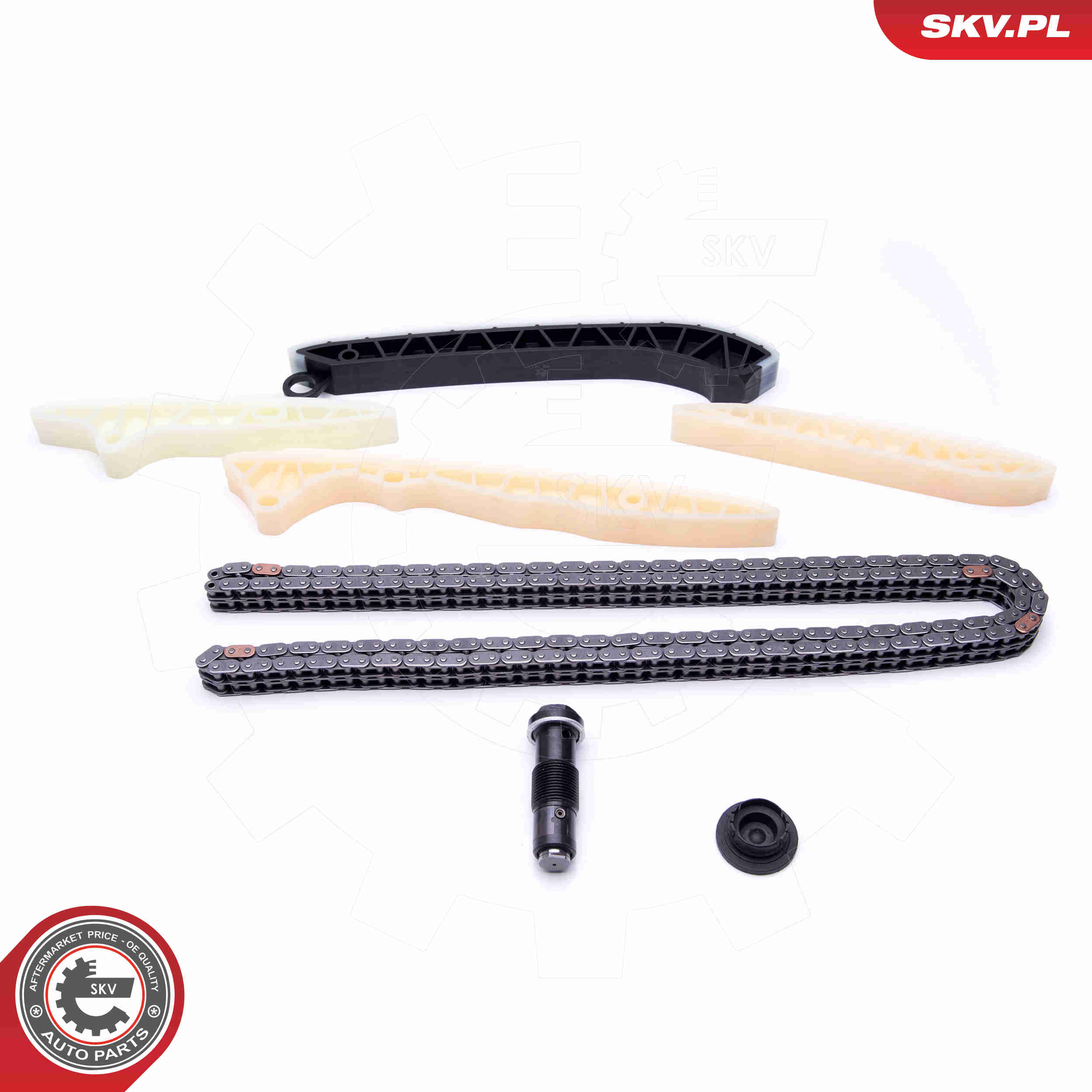 Timing Chain Kit - 21SKV126 ESEN SKV
