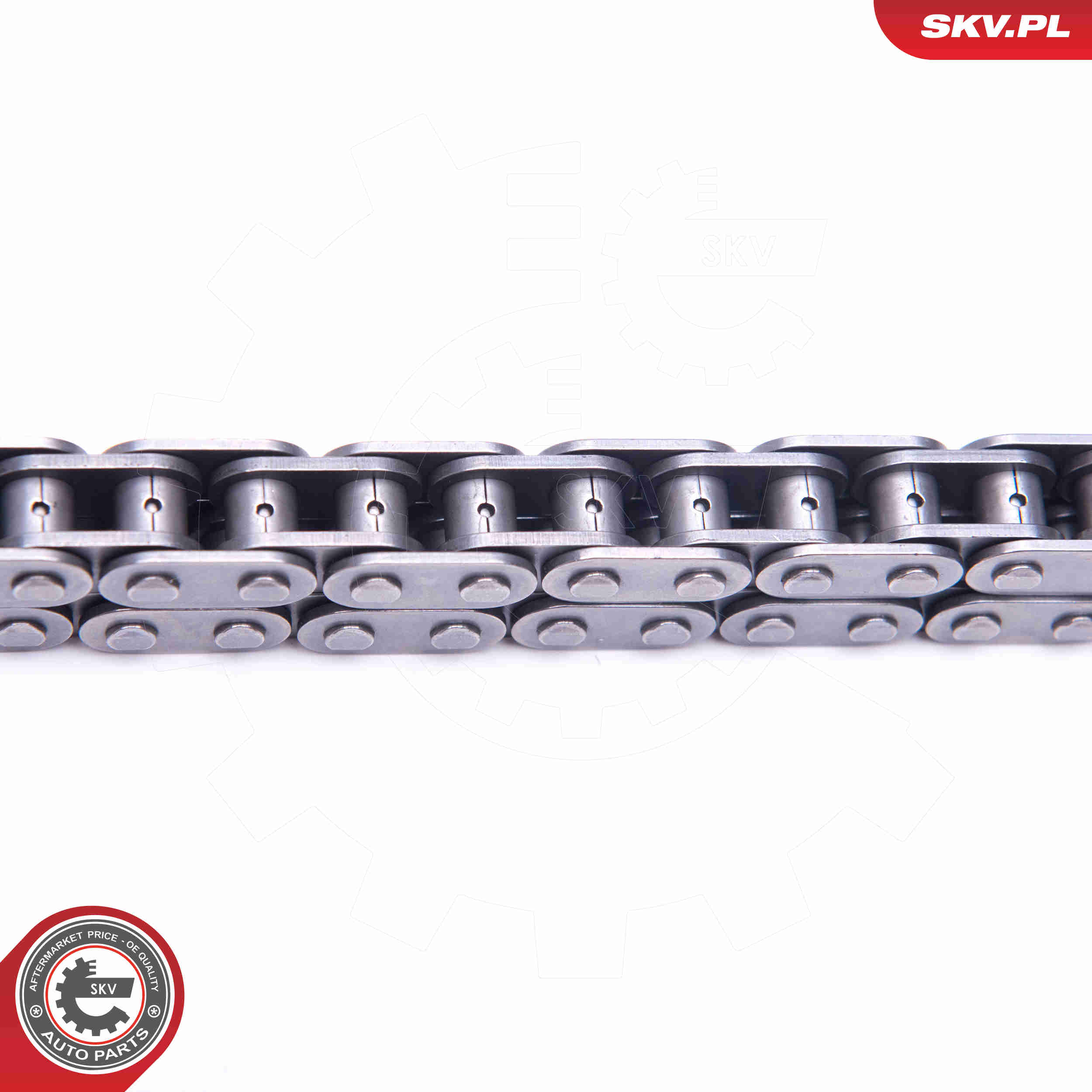 Timing Chain Kit - 21SKV130 ESEN SKV