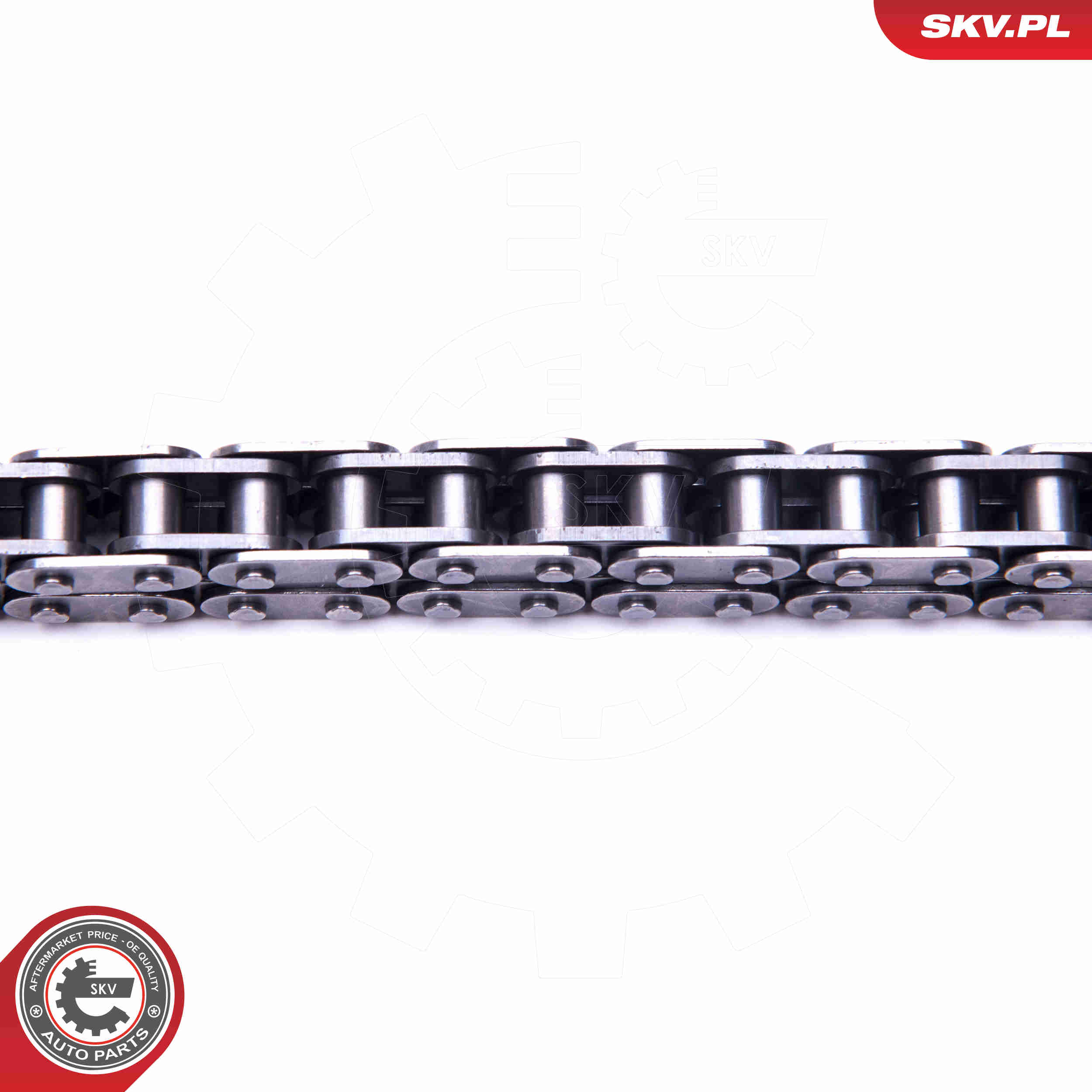 Timing Chain Kit - 21SKV132 ESEN SKV