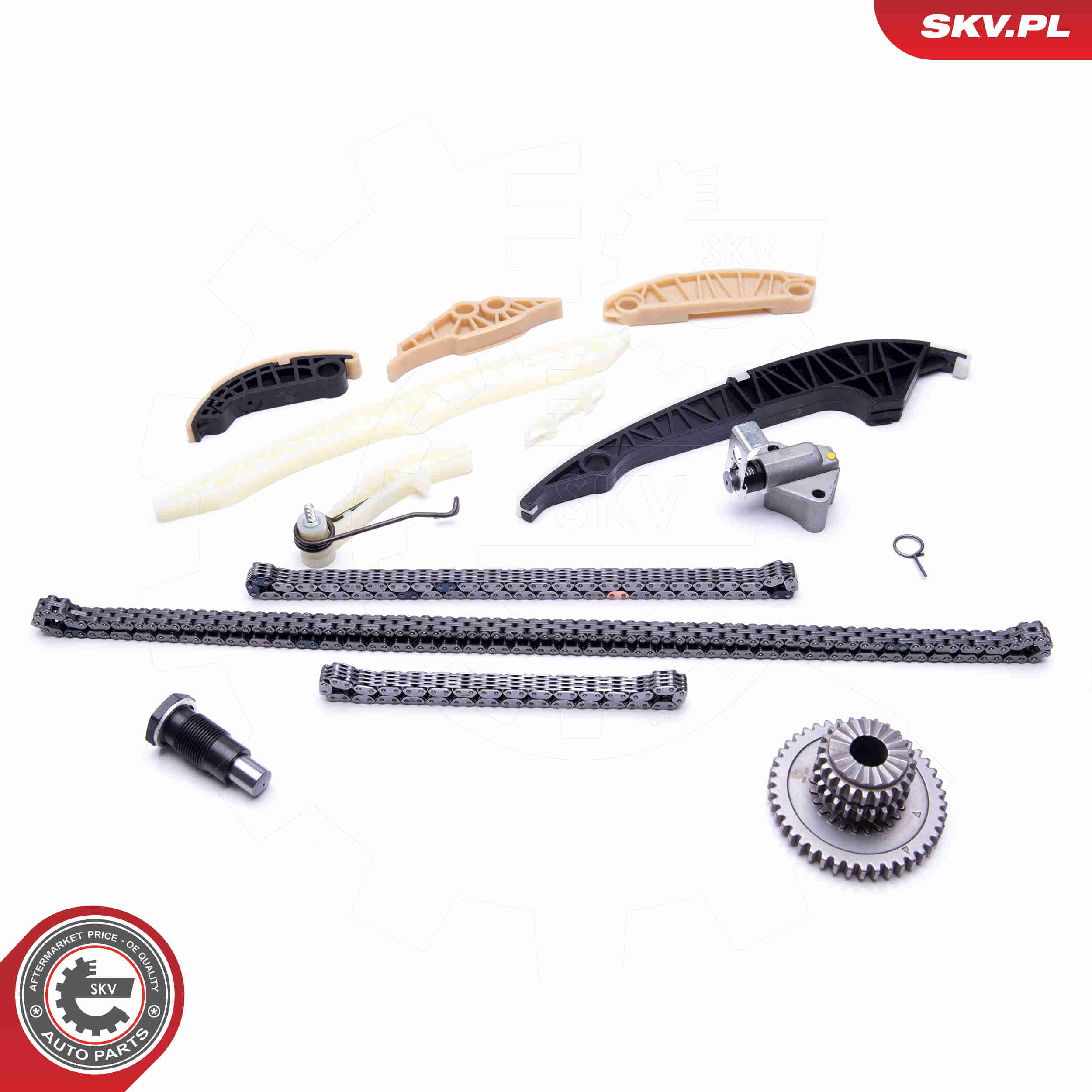 Timing Chain Kit - 21SKV139 ESEN SKV