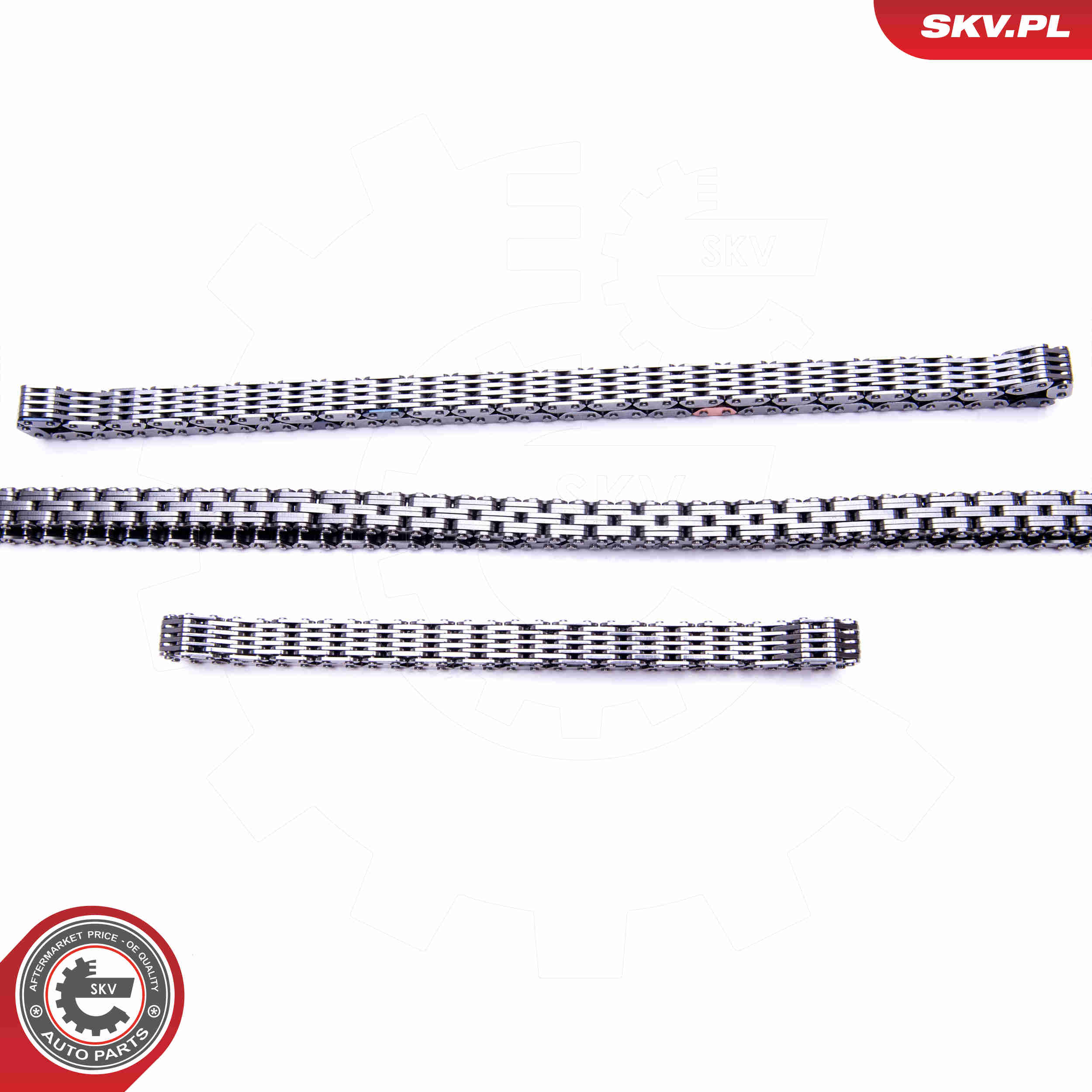 Timing Chain Kit - 21SKV139 ESEN SKV