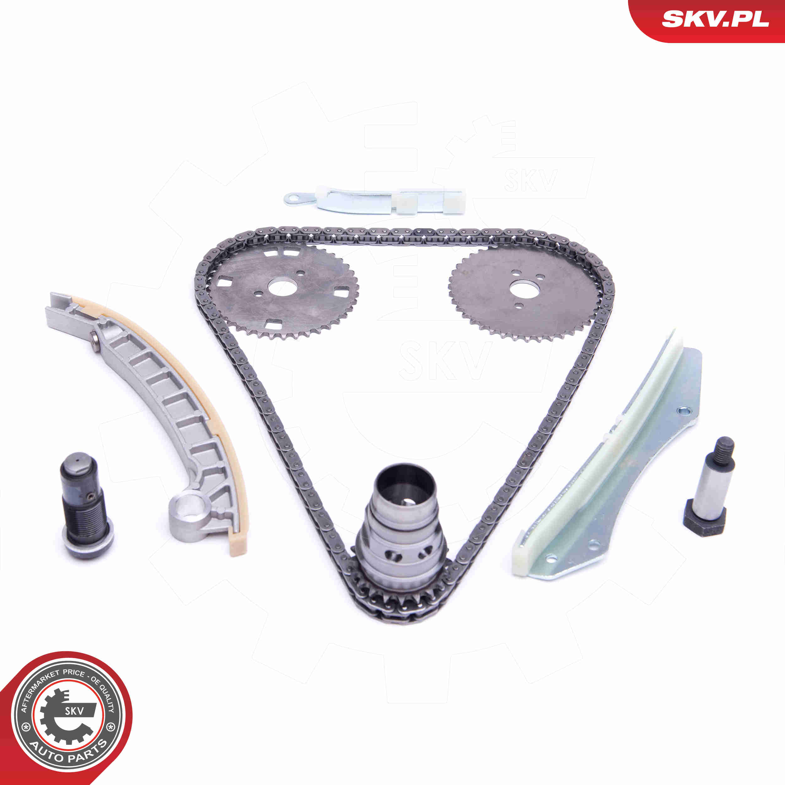 Timing Chain Kit - 21SKV141 ESEN SKV