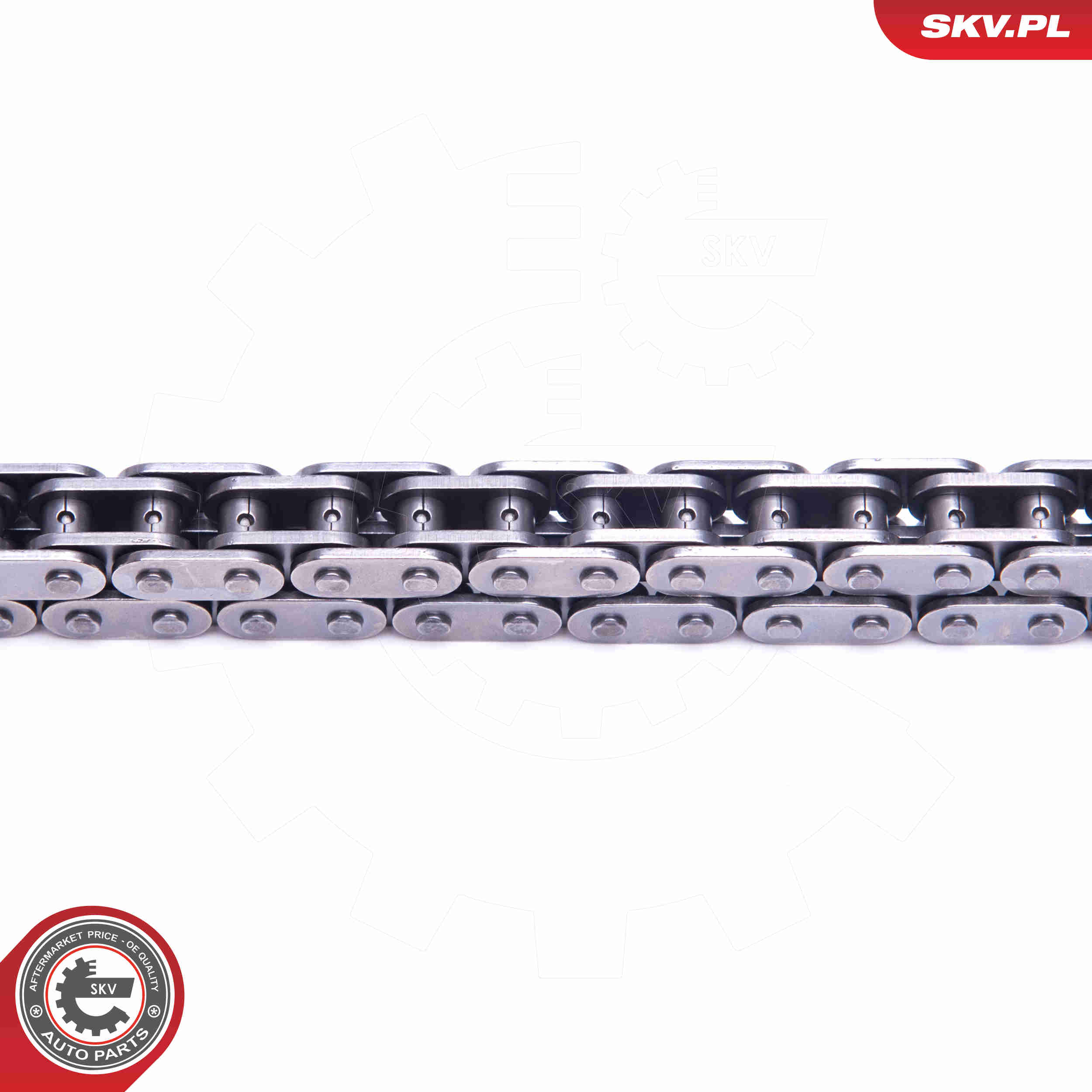 Timing Chain Kit - 21SKV141 ESEN SKV