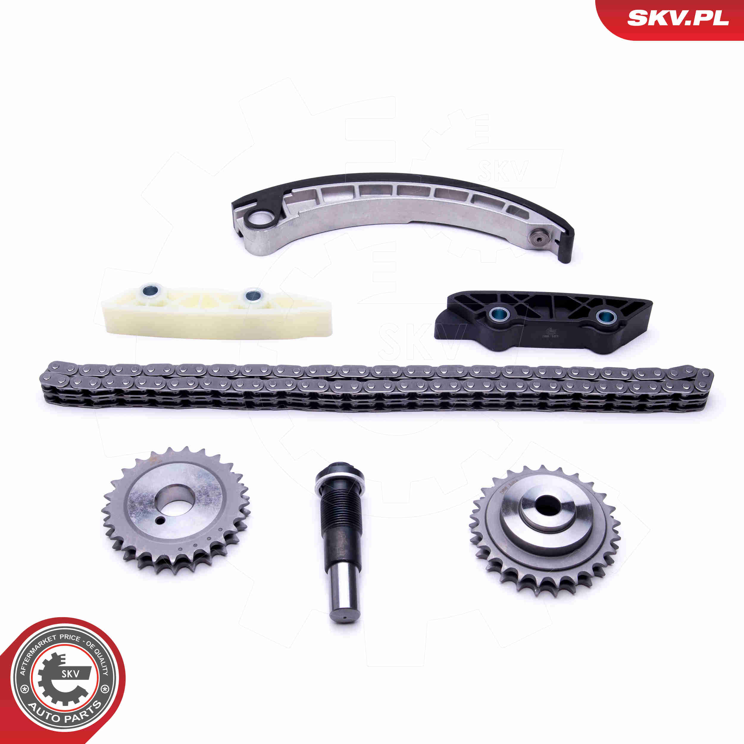 Timing Chain Kit - 21SKV143 ESEN SKV