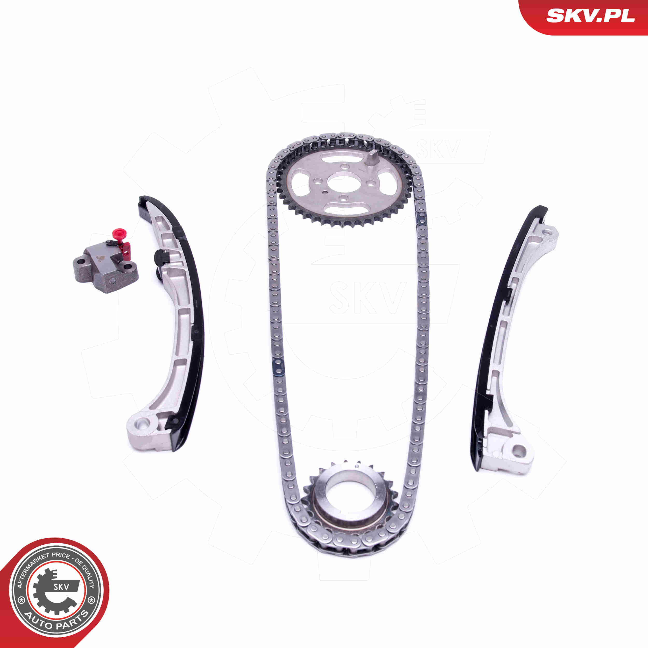 Timing Chain Kit - 21SKV149 ESEN SKV