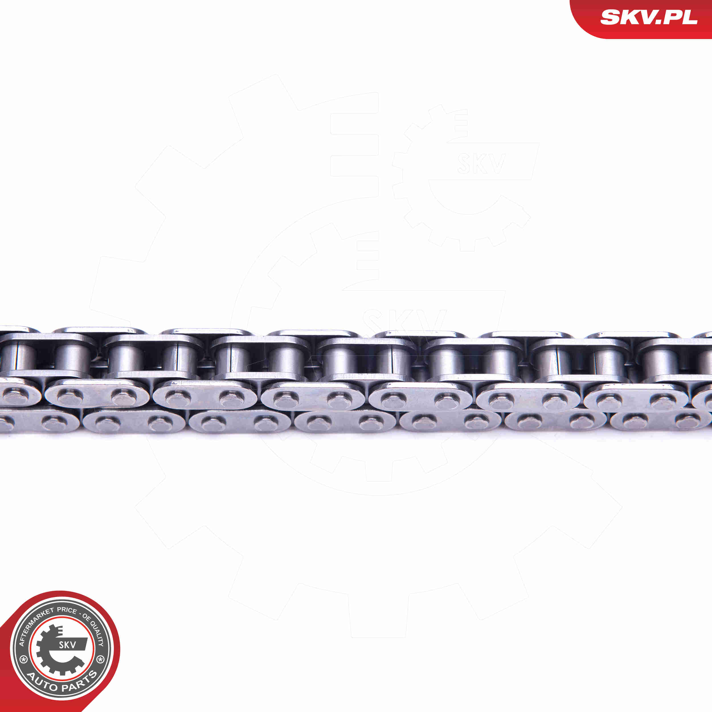 Timing Chain Kit - 21SKV149 ESEN SKV