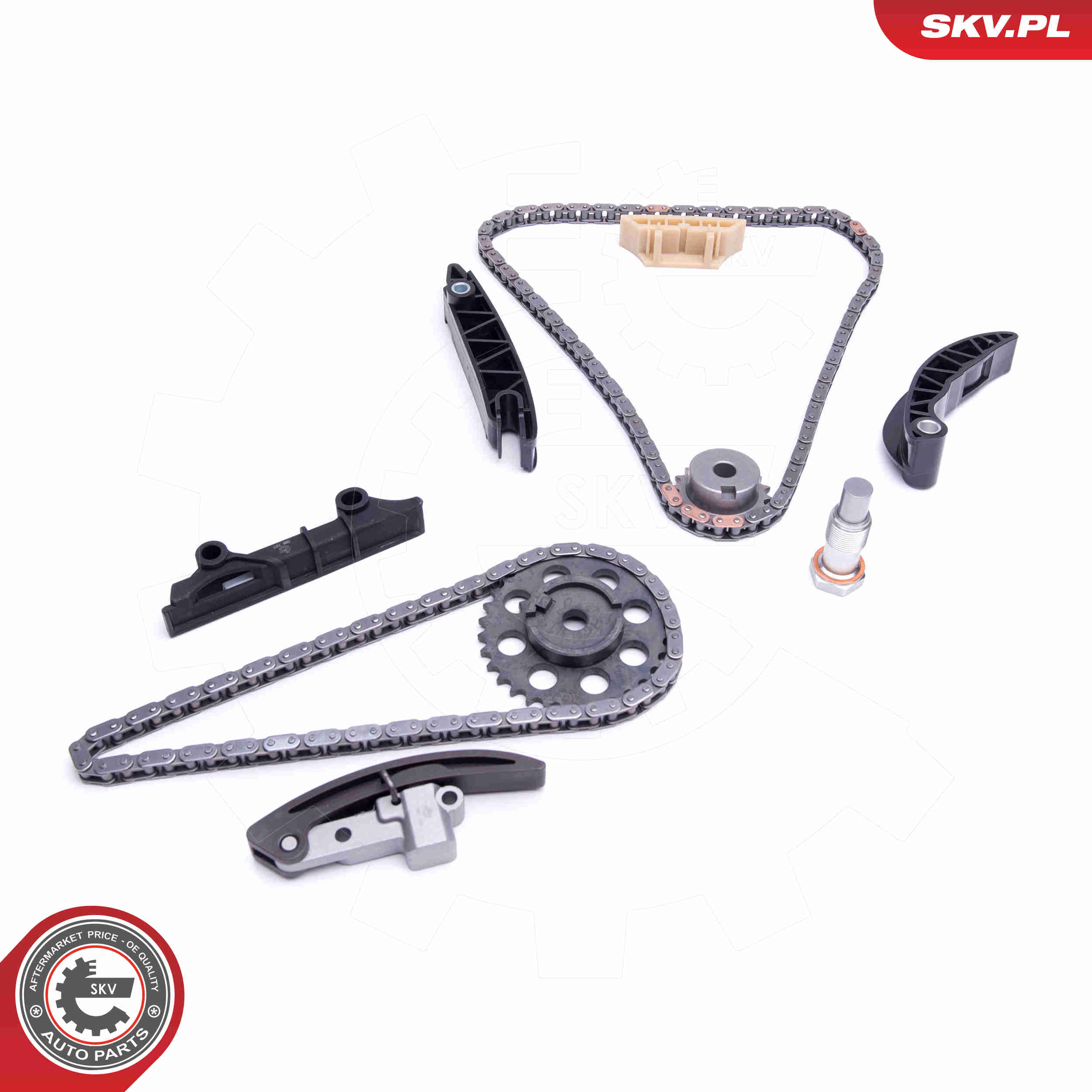 Timing Chain Kit - 21SKV156 ESEN SKV