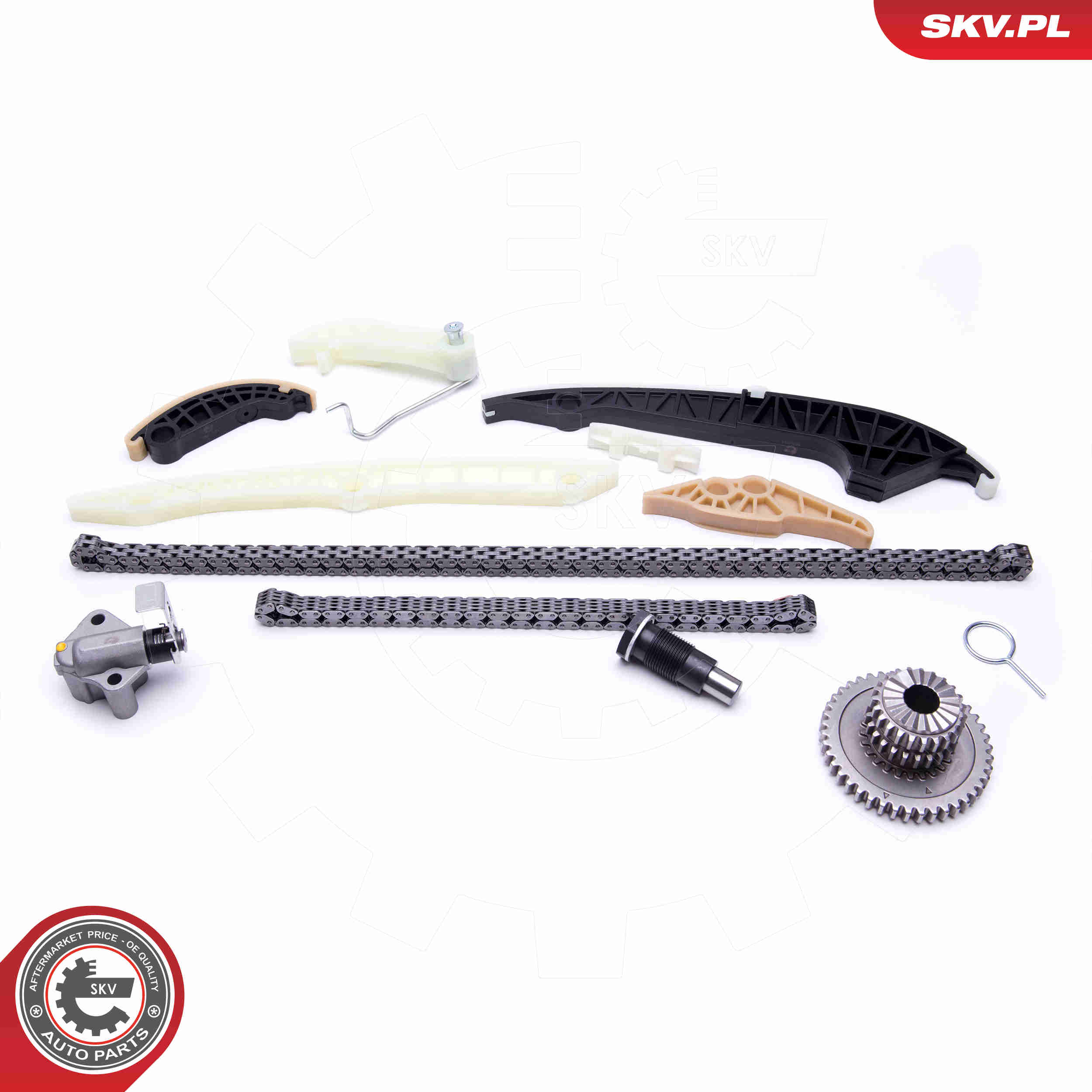 Timing Chain Kit - 21SKV161 ESEN SKV