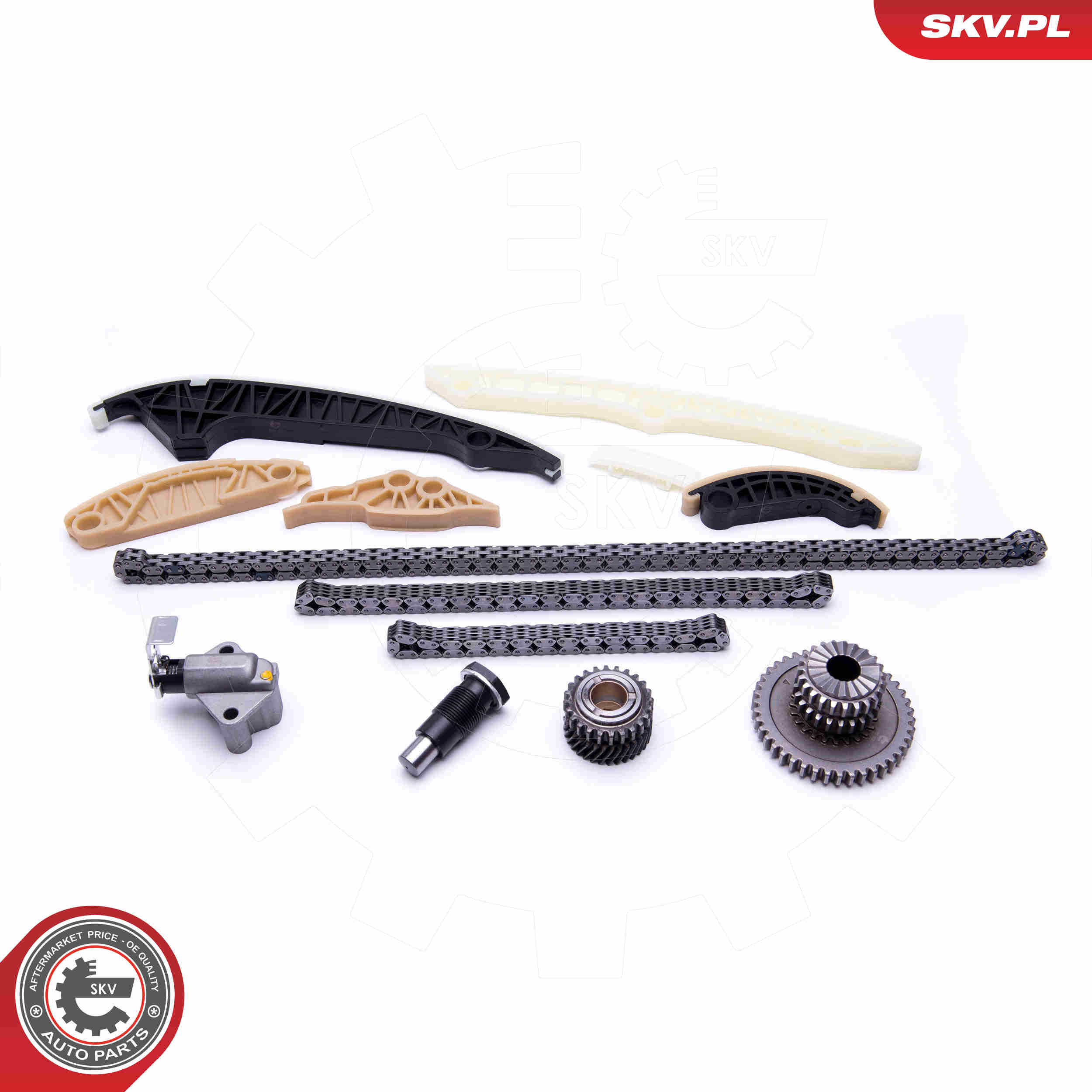 Timing Chain Kit - 21SKV163 ESEN SKV