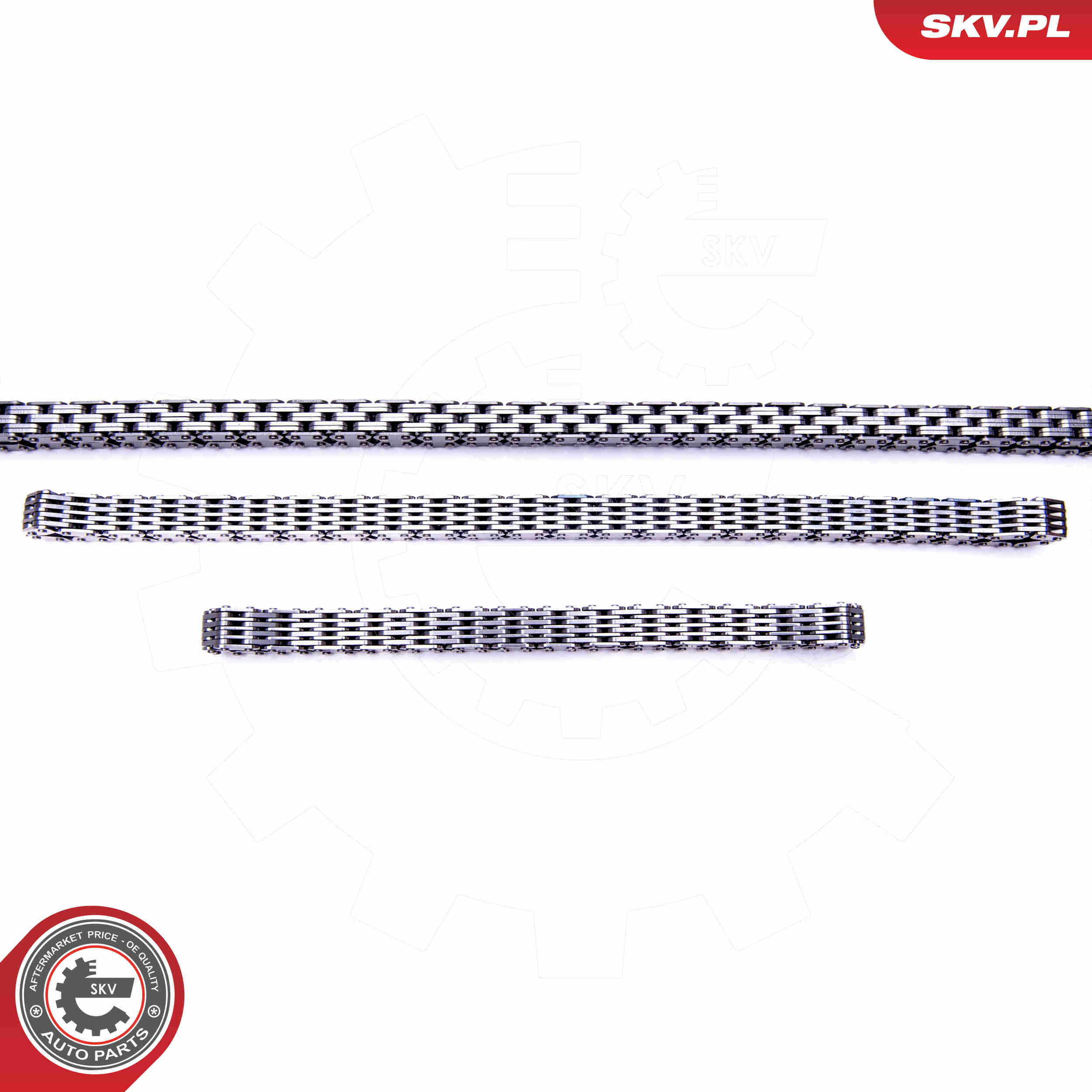 Timing Chain Kit - 21SKV163 ESEN SKV