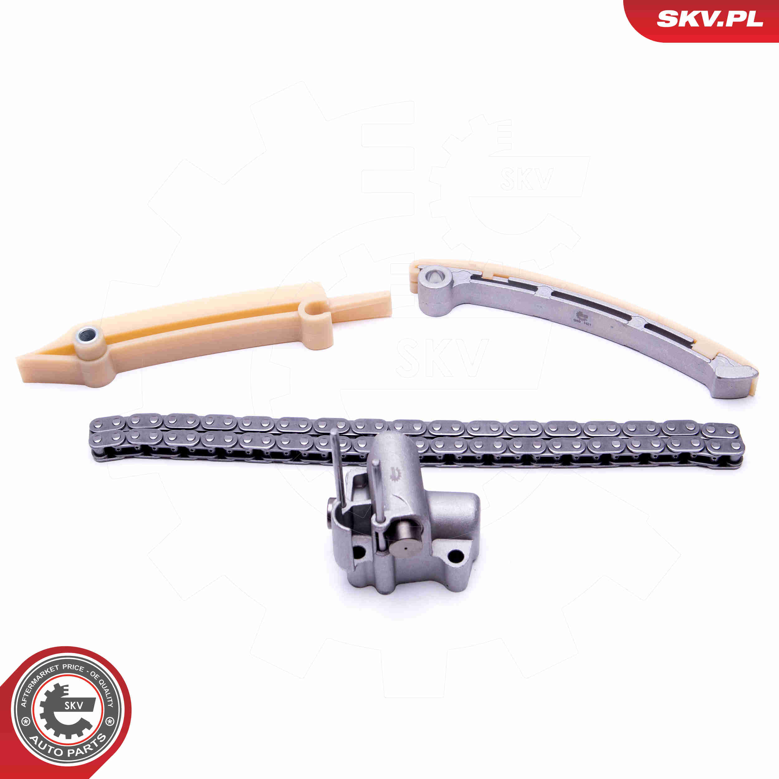 Timing Chain Kit - 21SKV165 ESEN SKV