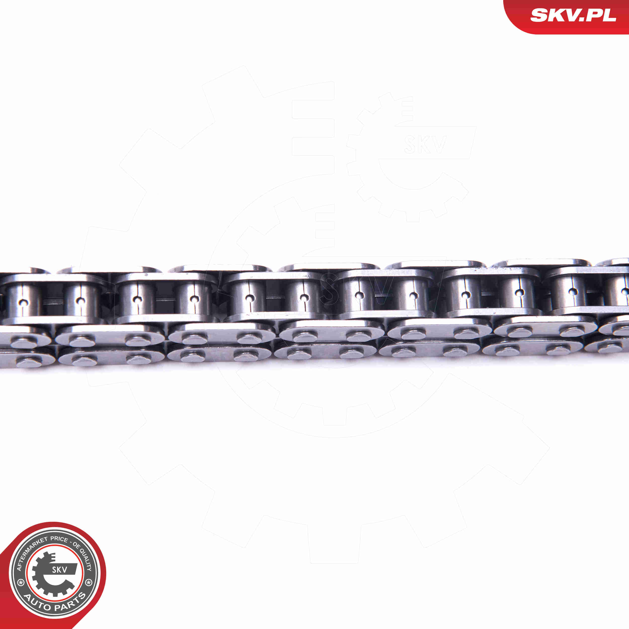 Timing Chain Kit - 21SKV165 ESEN SKV