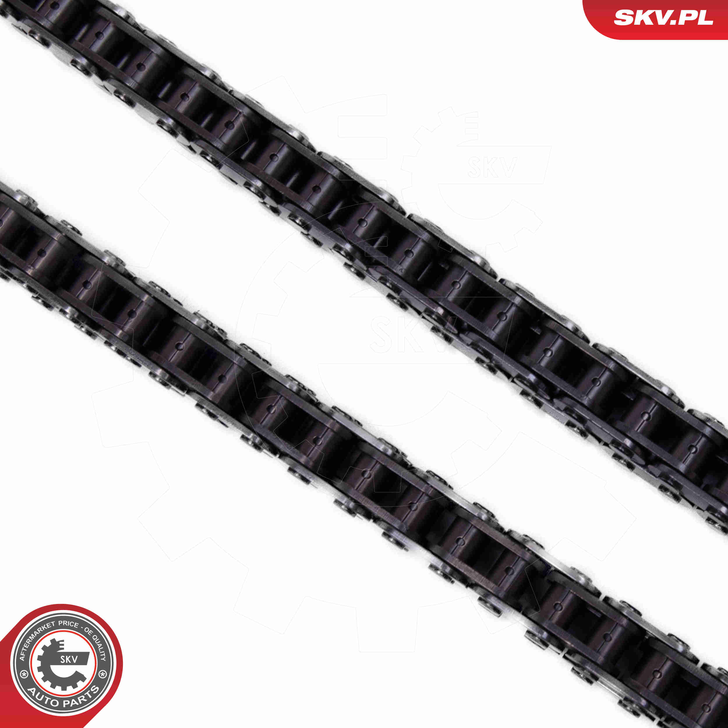 Timing Chain Kit - 21SKV166 ESEN SKV