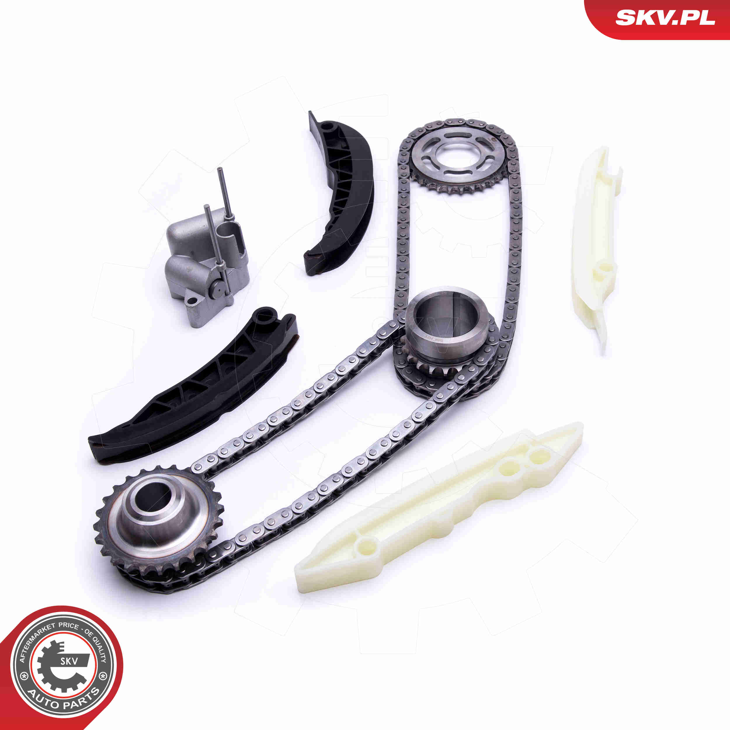 Timing Chain Kit - 21SKV167 ESEN SKV