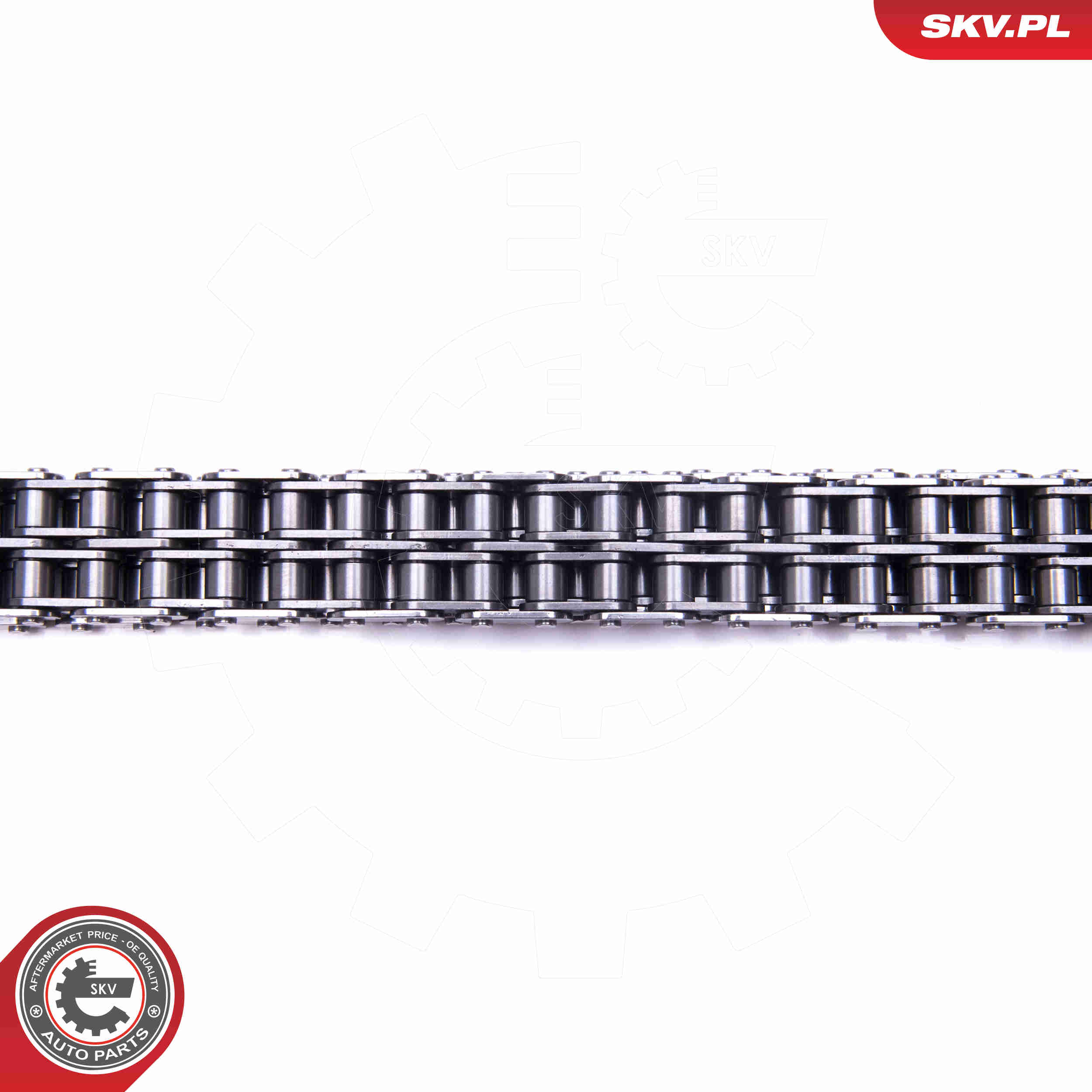 Timing Chain Kit - 21SKV170 ESEN SKV