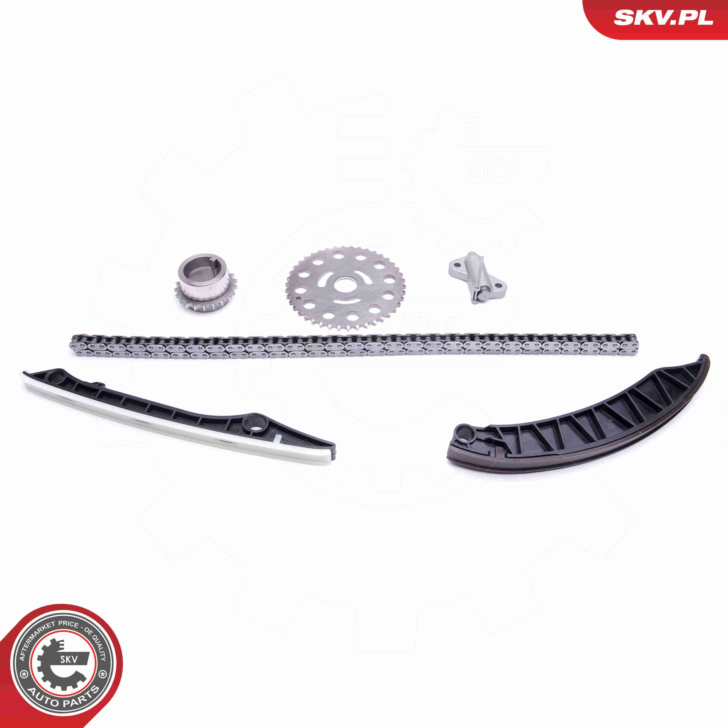 Timing Chain Kit - 21SKV173 ESEN SKV