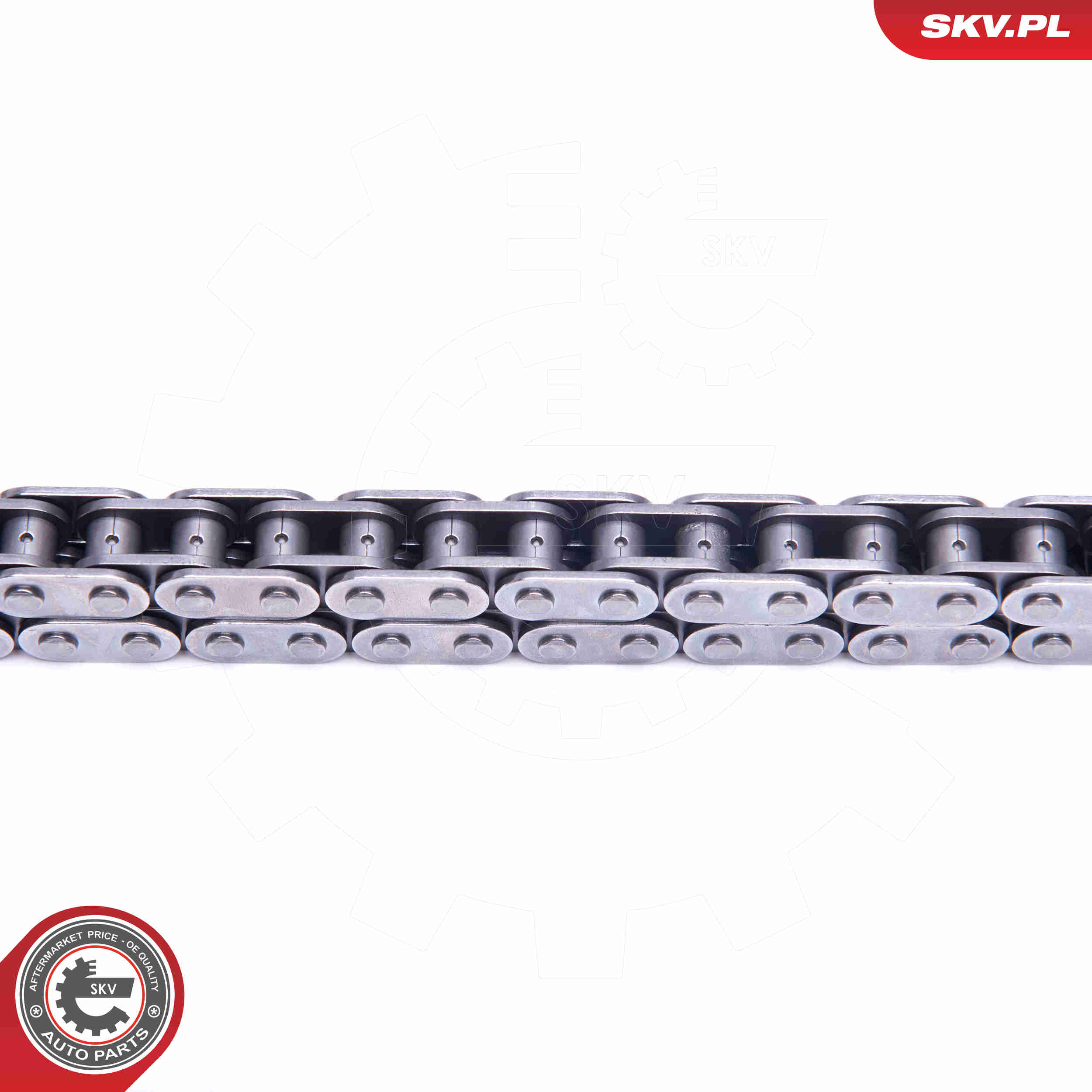 Timing Chain Kit - 21SKV173 ESEN SKV