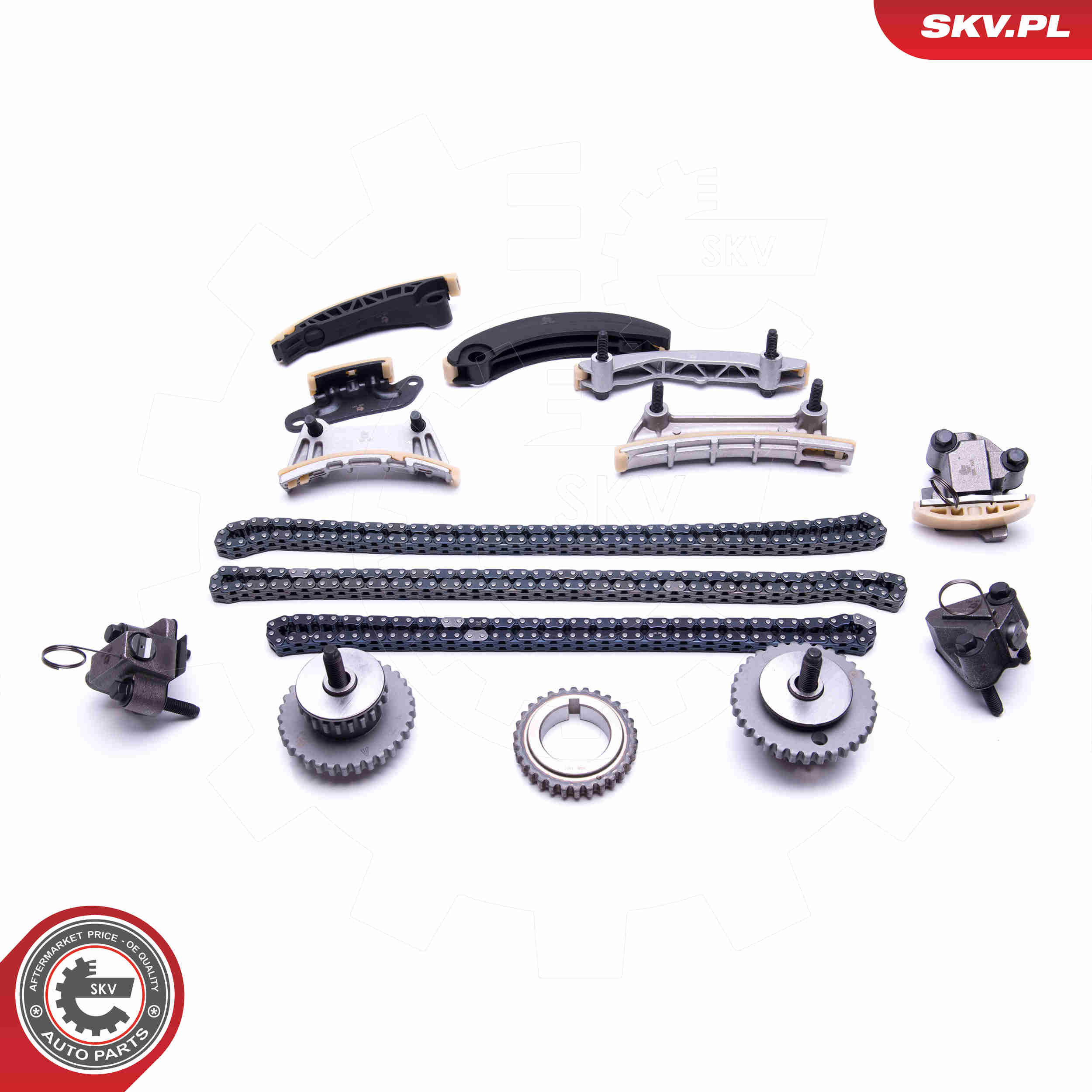 Timing Chain Kit - 21SKV175 ESEN SKV