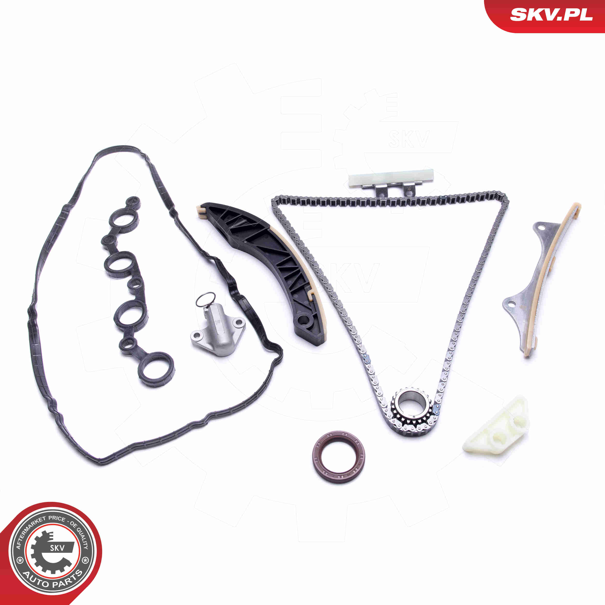 Kit catena distribuzione - 21SKV181 ESEN SKV