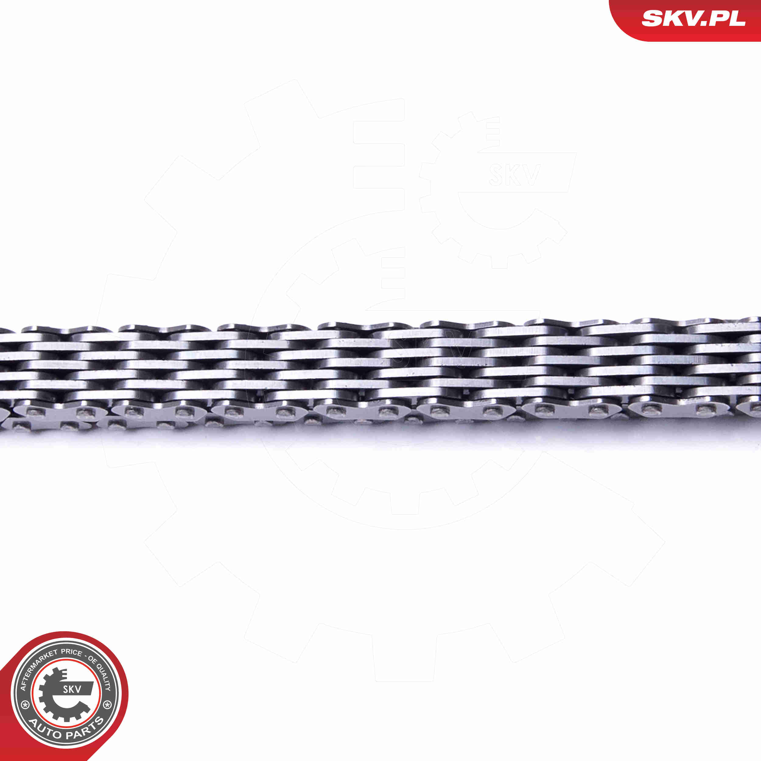 Kit catena distribuzione - 21SKV181 ESEN SKV