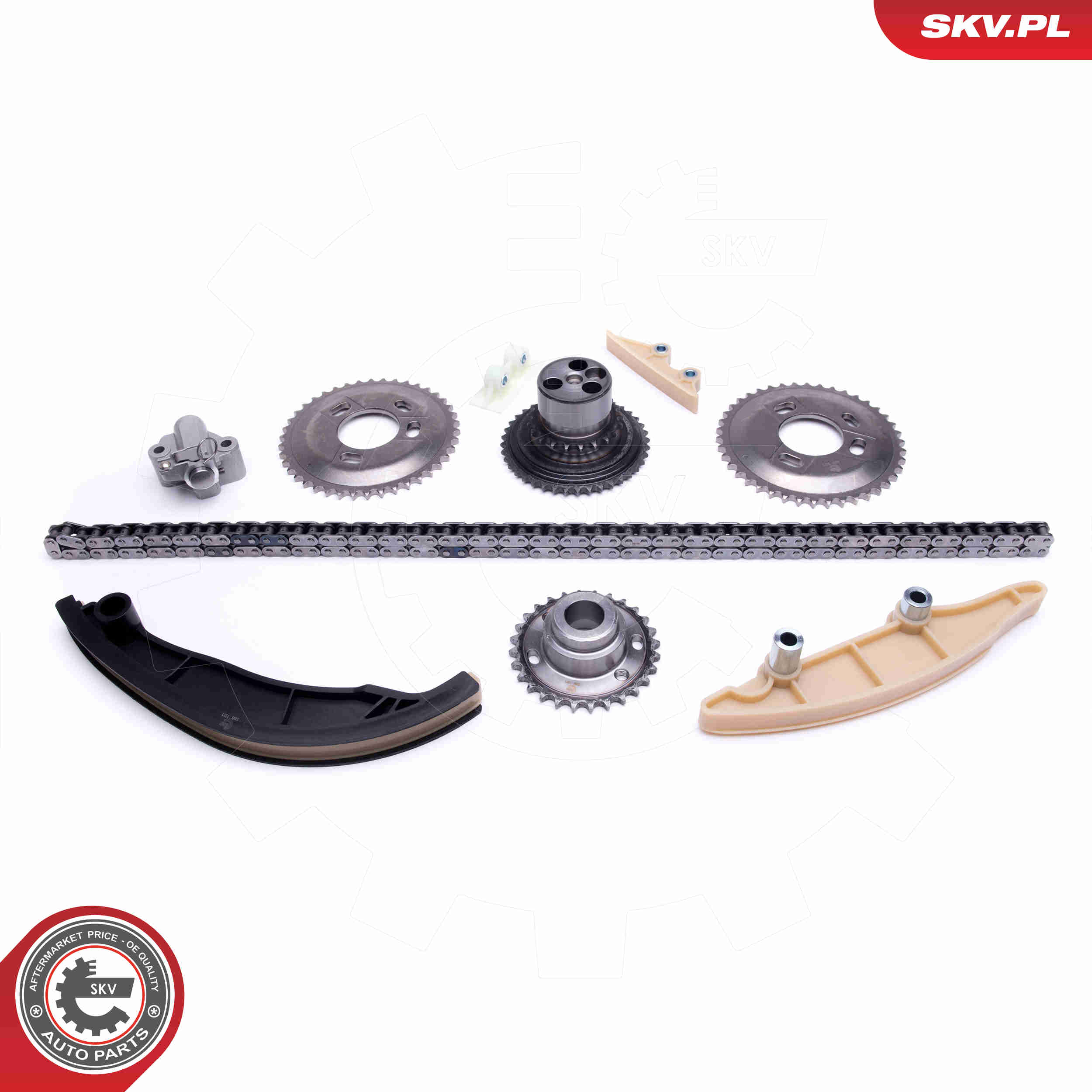 Timing Chain Kit - 21SKV189 ESEN SKV
