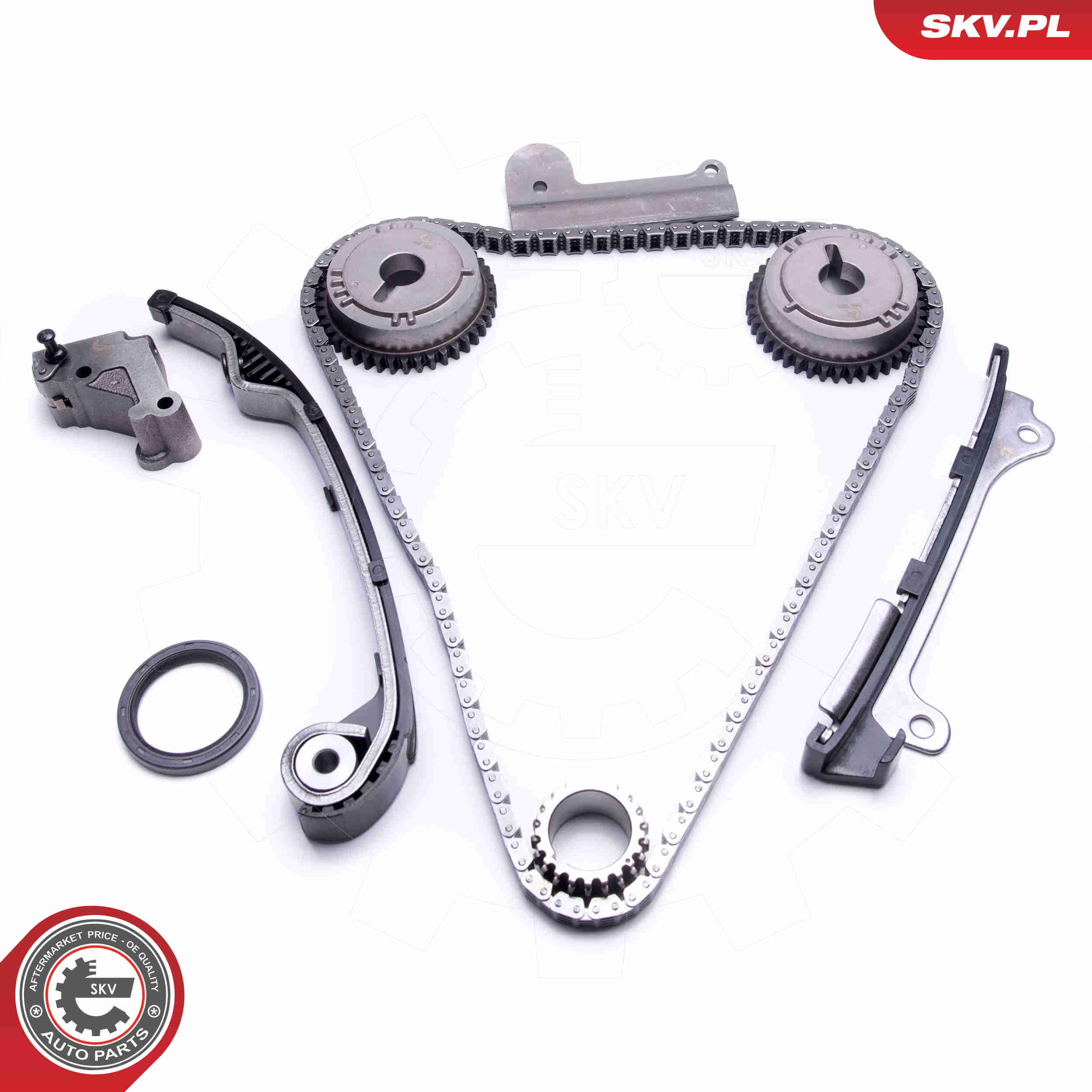 Timing Chain Kit - 21SKV191 ESEN SKV