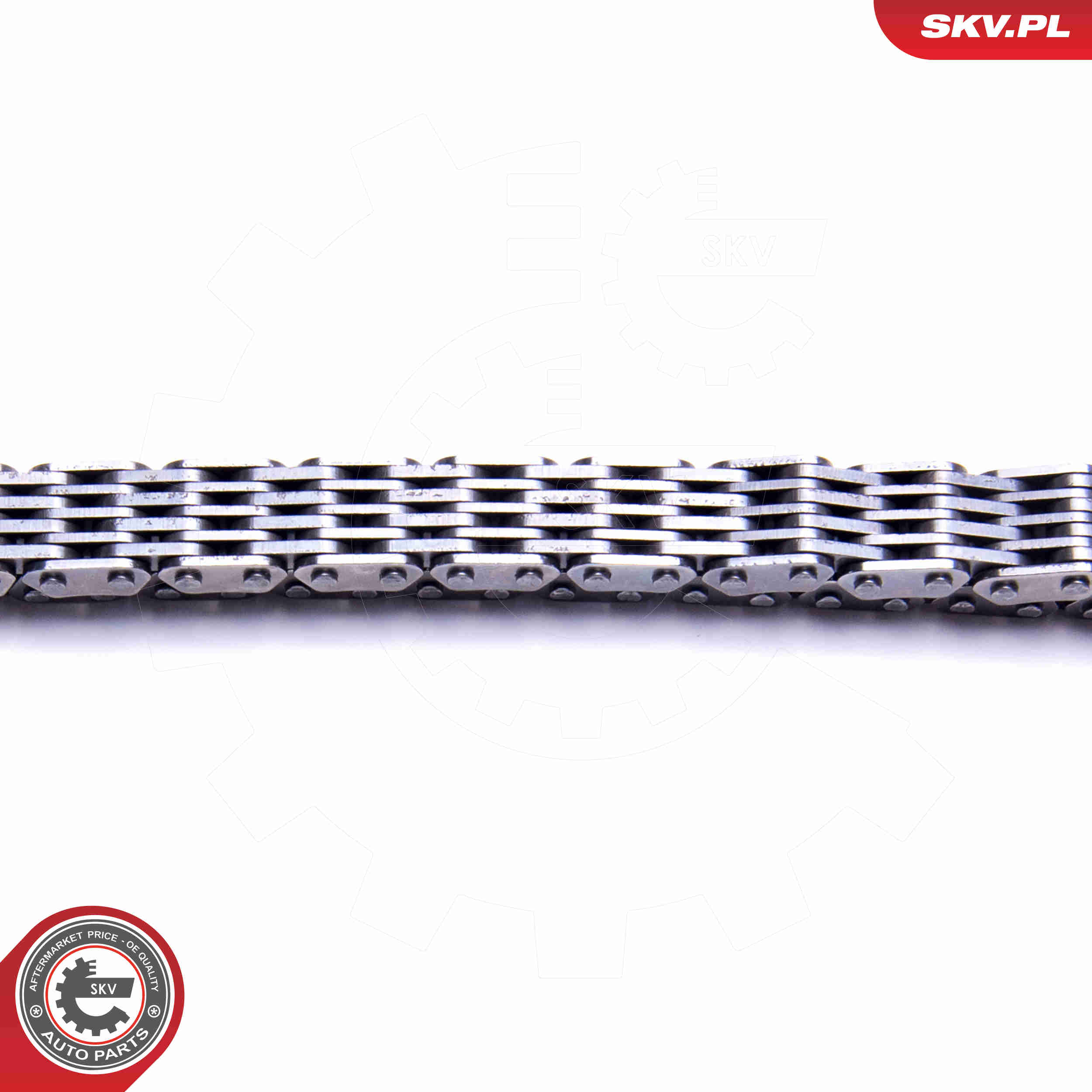 Timing Chain Kit - 21SKV191 ESEN SKV