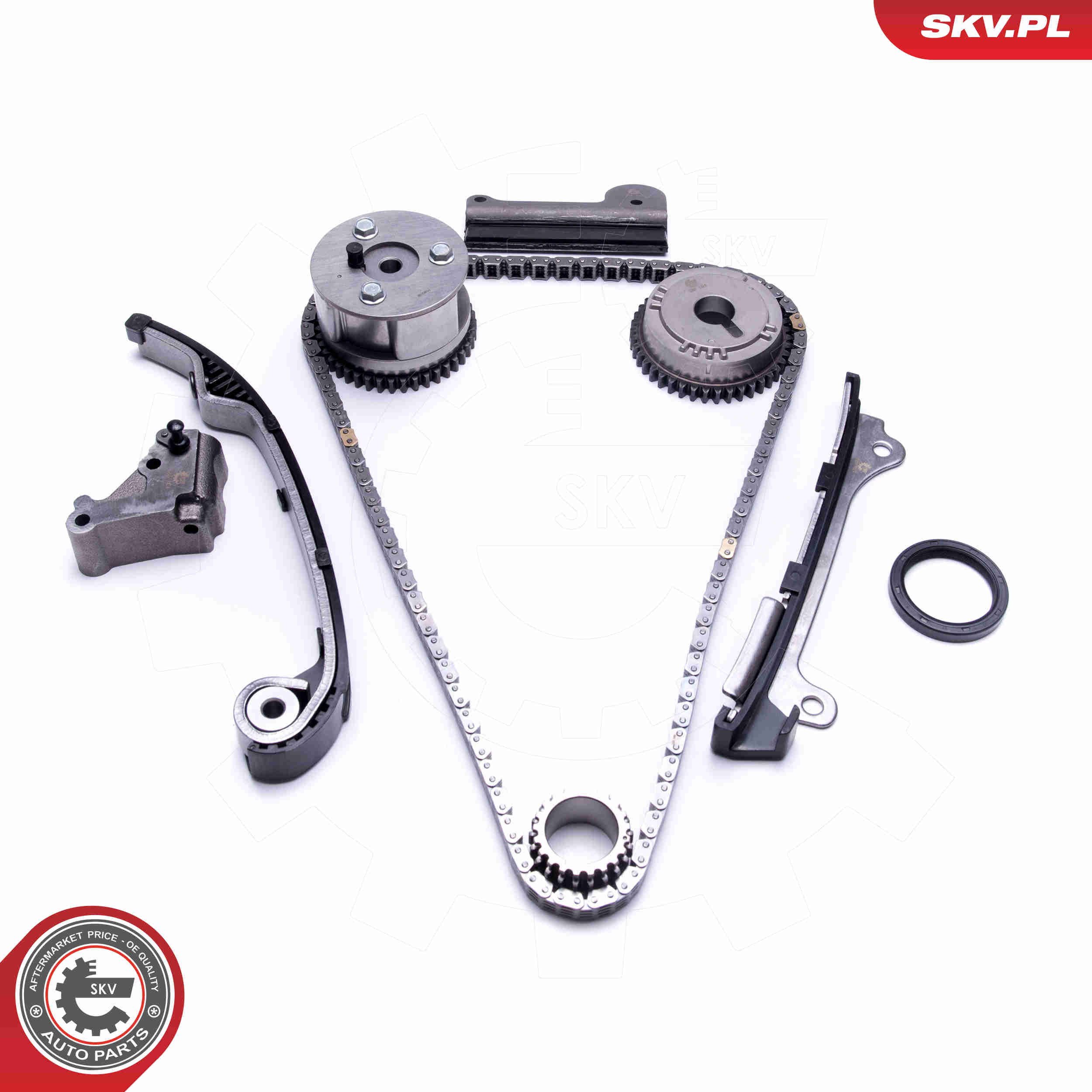 Timing Chain Kit - 21SKV194 ESEN SKV