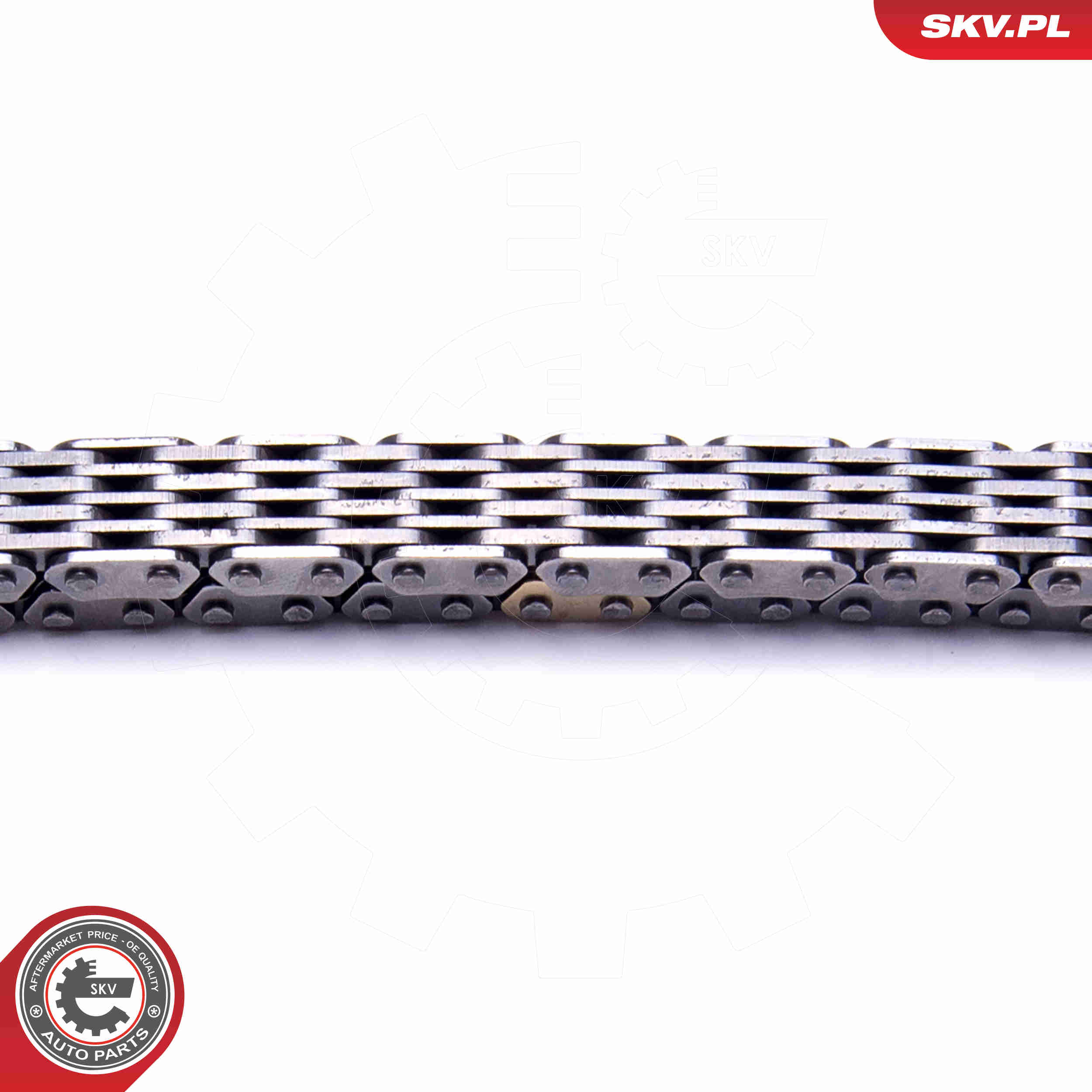 Timing Chain Kit - 21SKV194 ESEN SKV