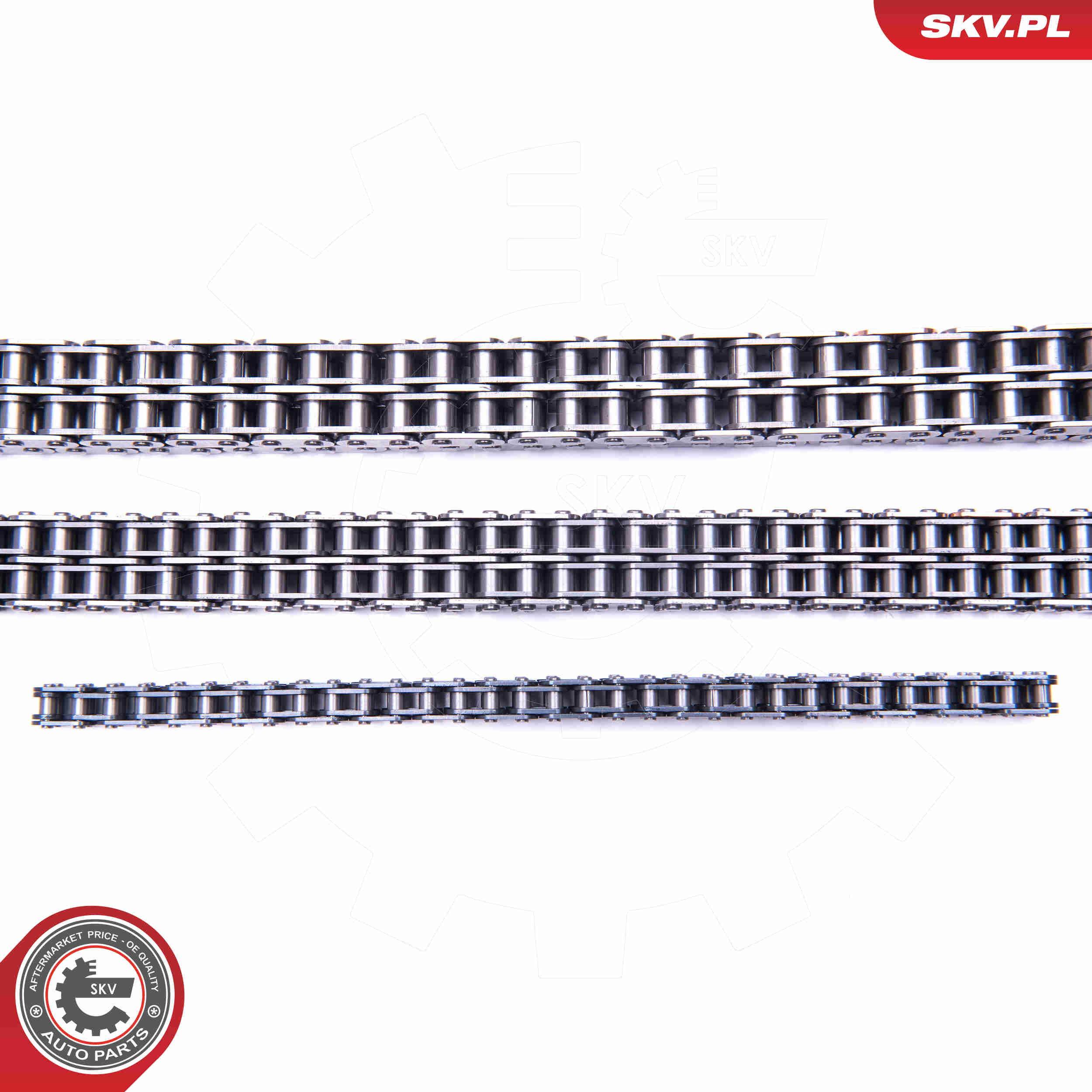 Timing Chain Kit - 21SKV202 ESEN SKV