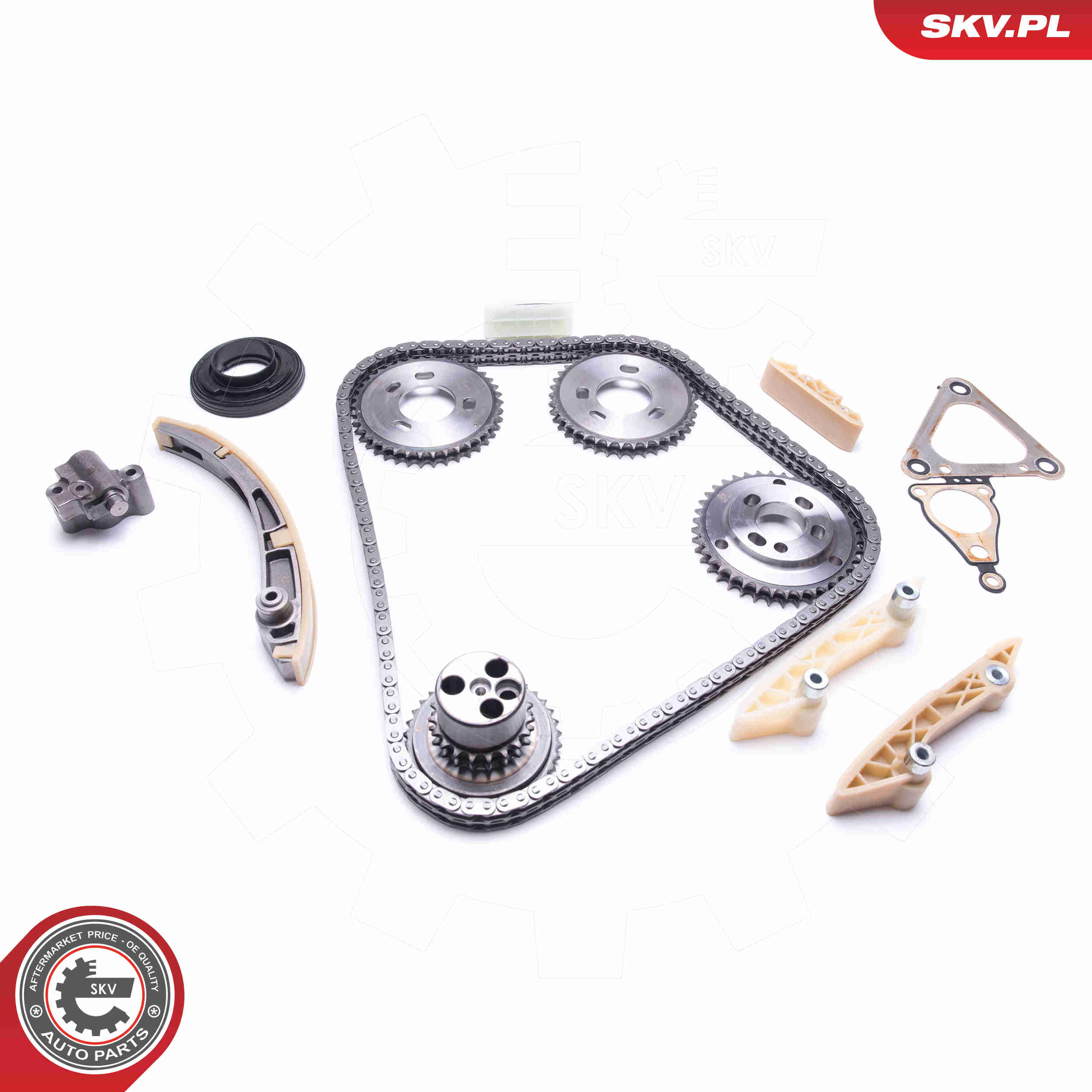 Timing Chain Kit - 21SKV207 ESEN SKV