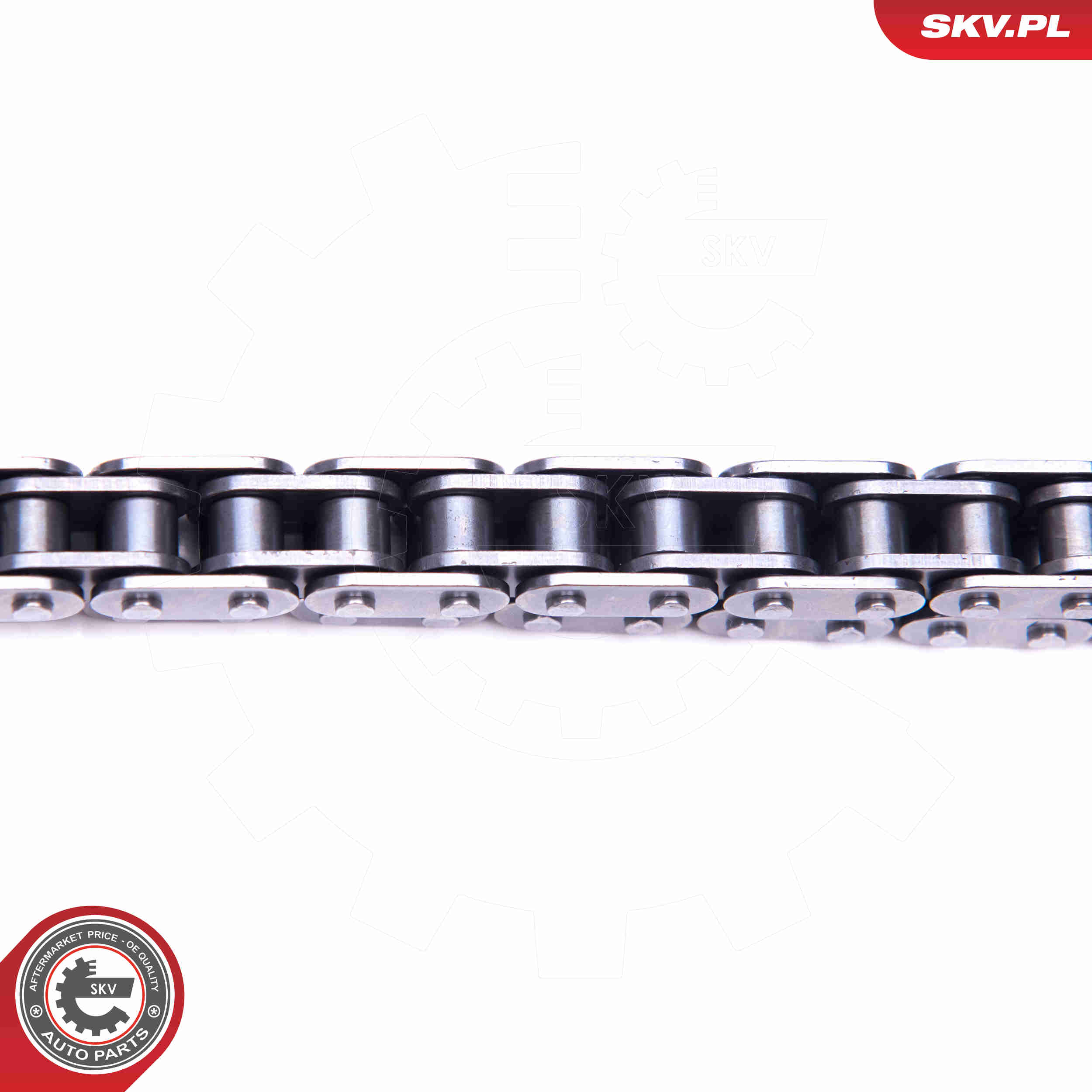 Timing Chain Kit - 21SKV211 ESEN SKV