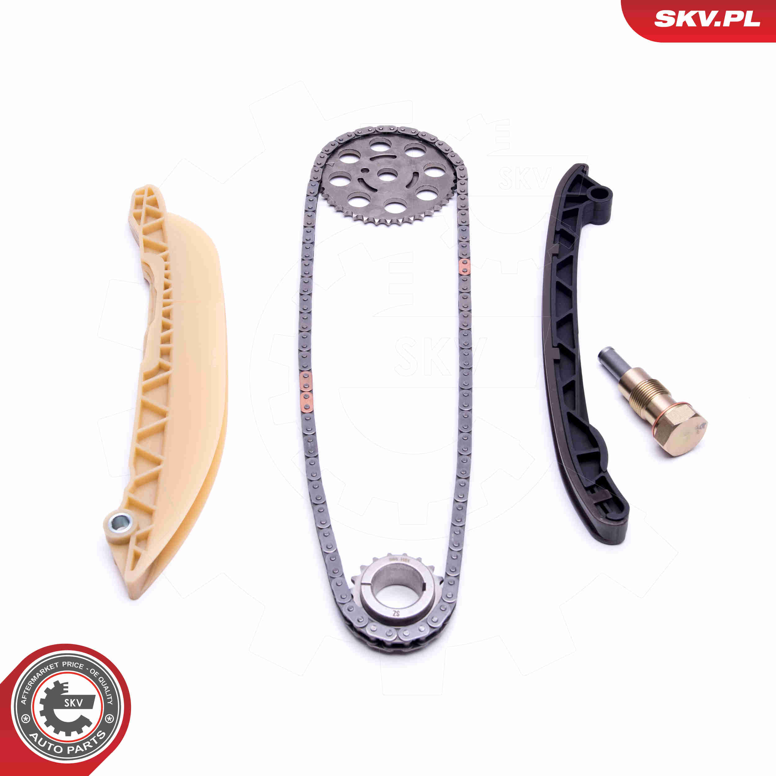 Timing Chain Kit - 21SKV213 ESEN SKV