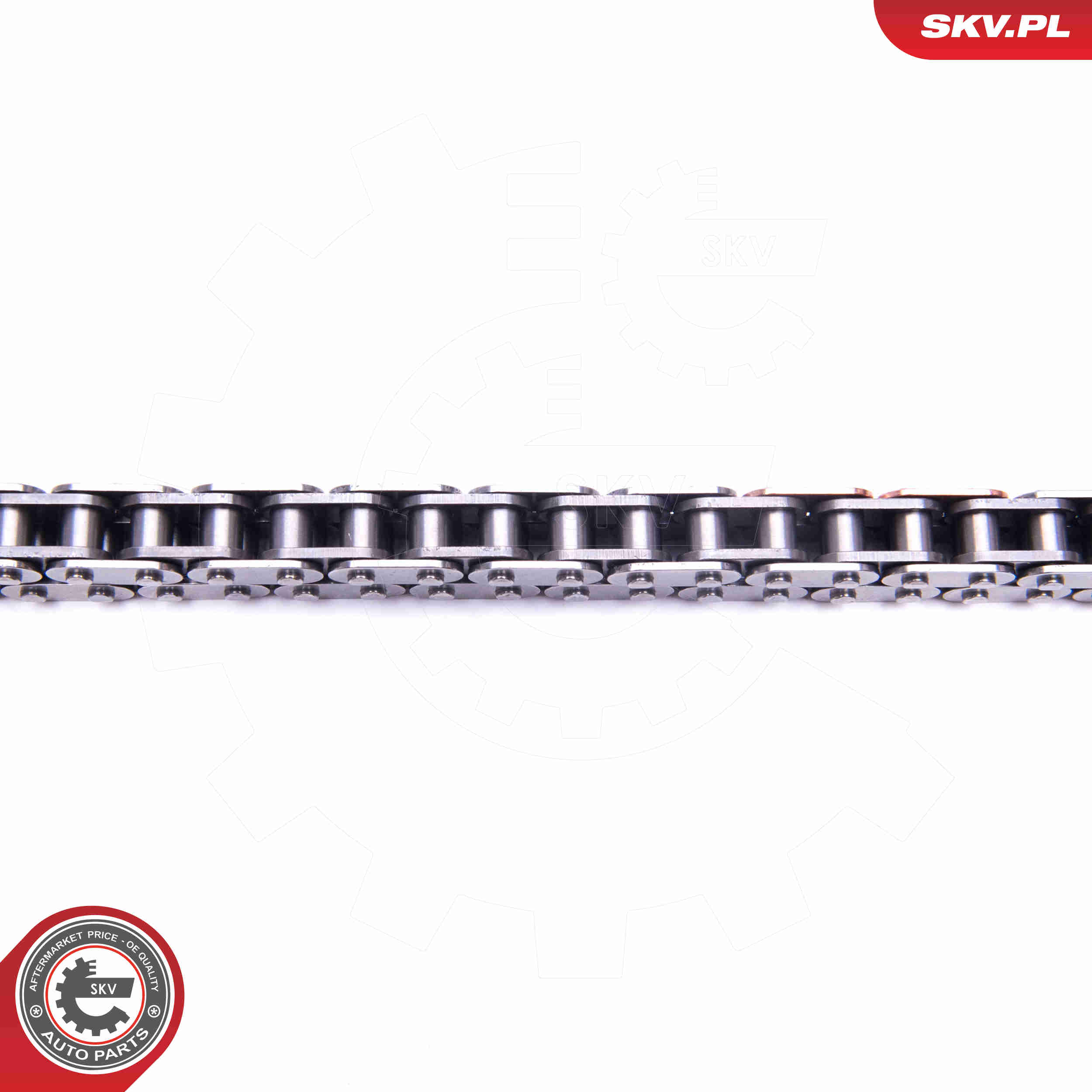 Timing Chain Kit - 21SKV213 ESEN SKV