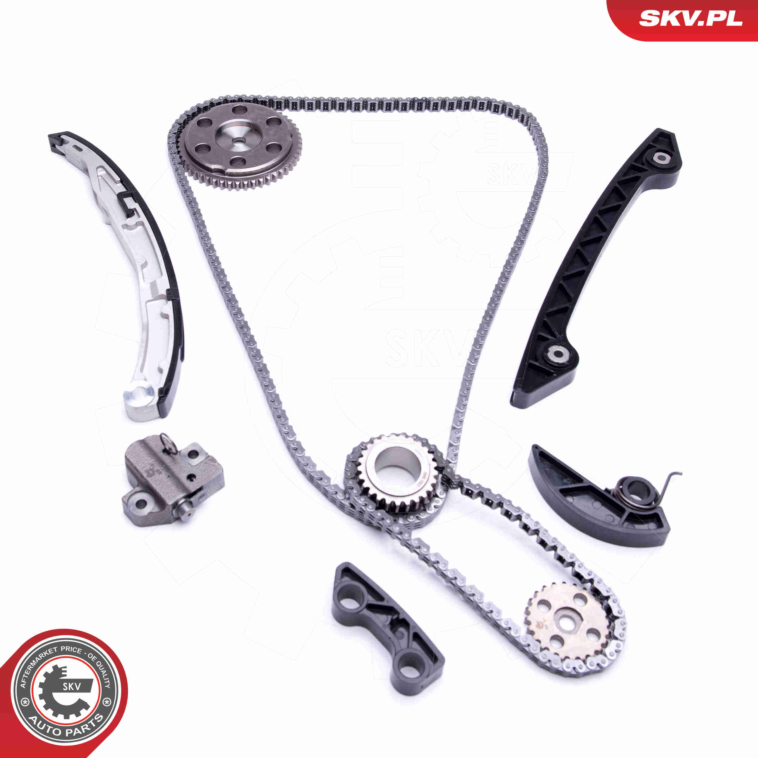 Timing Chain Kit - 21SKV219 ESEN SKV