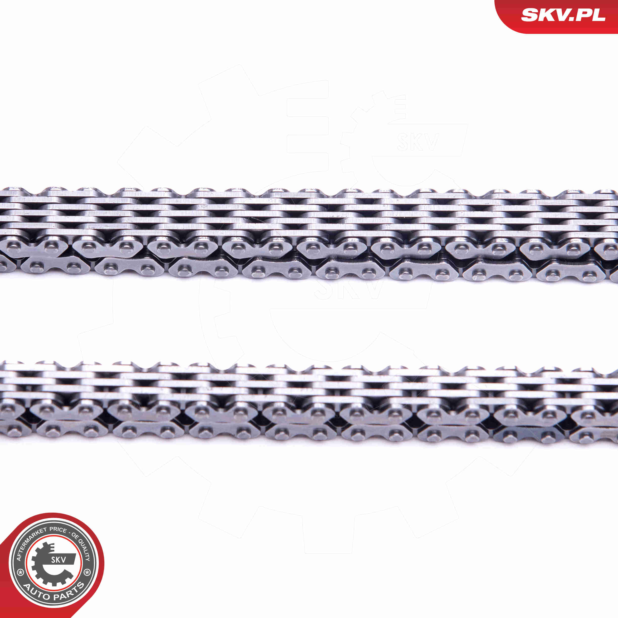 Timing Chain Kit - 21SKV219 ESEN SKV