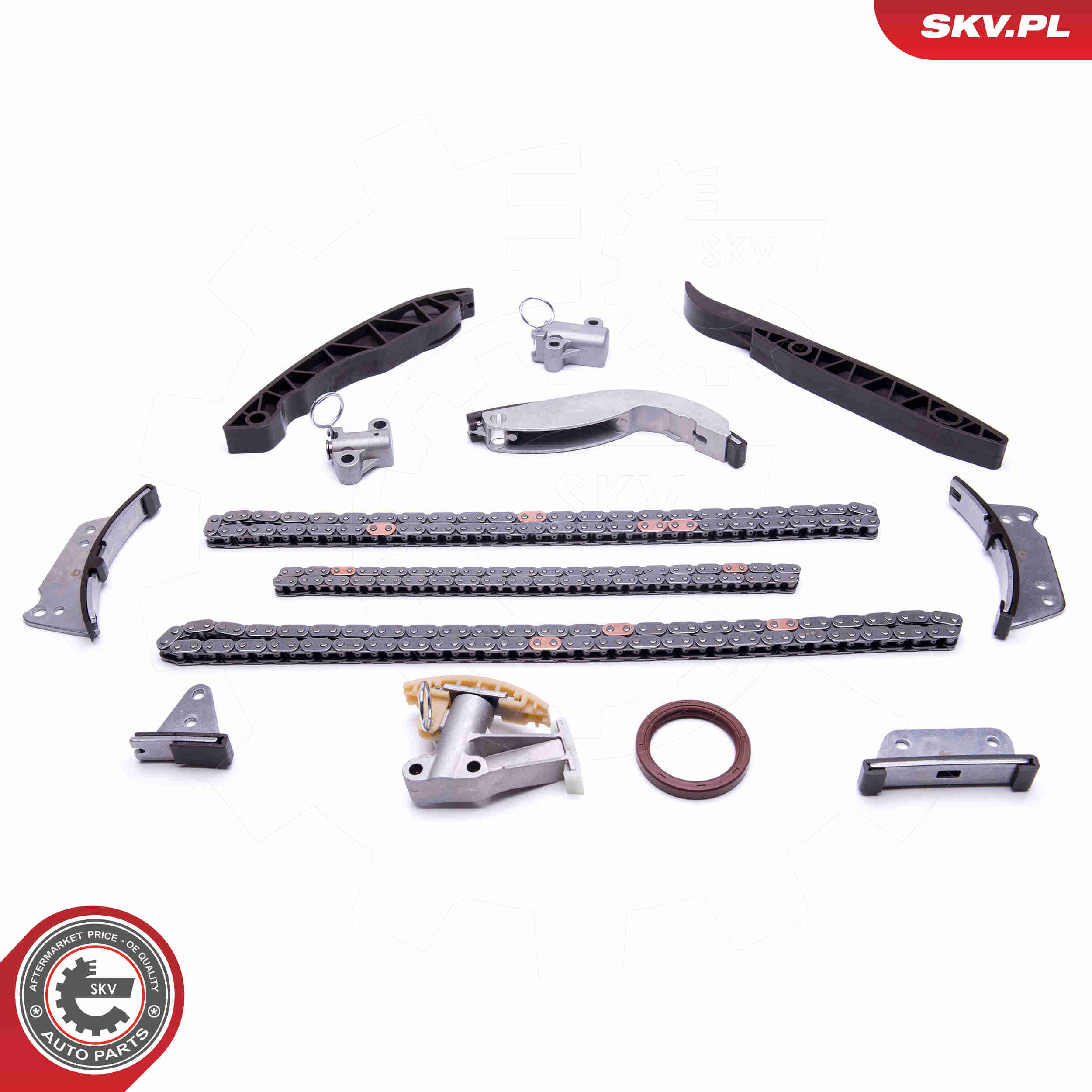 Kit catena distribuzione - 21SKV223 ESEN SKV
