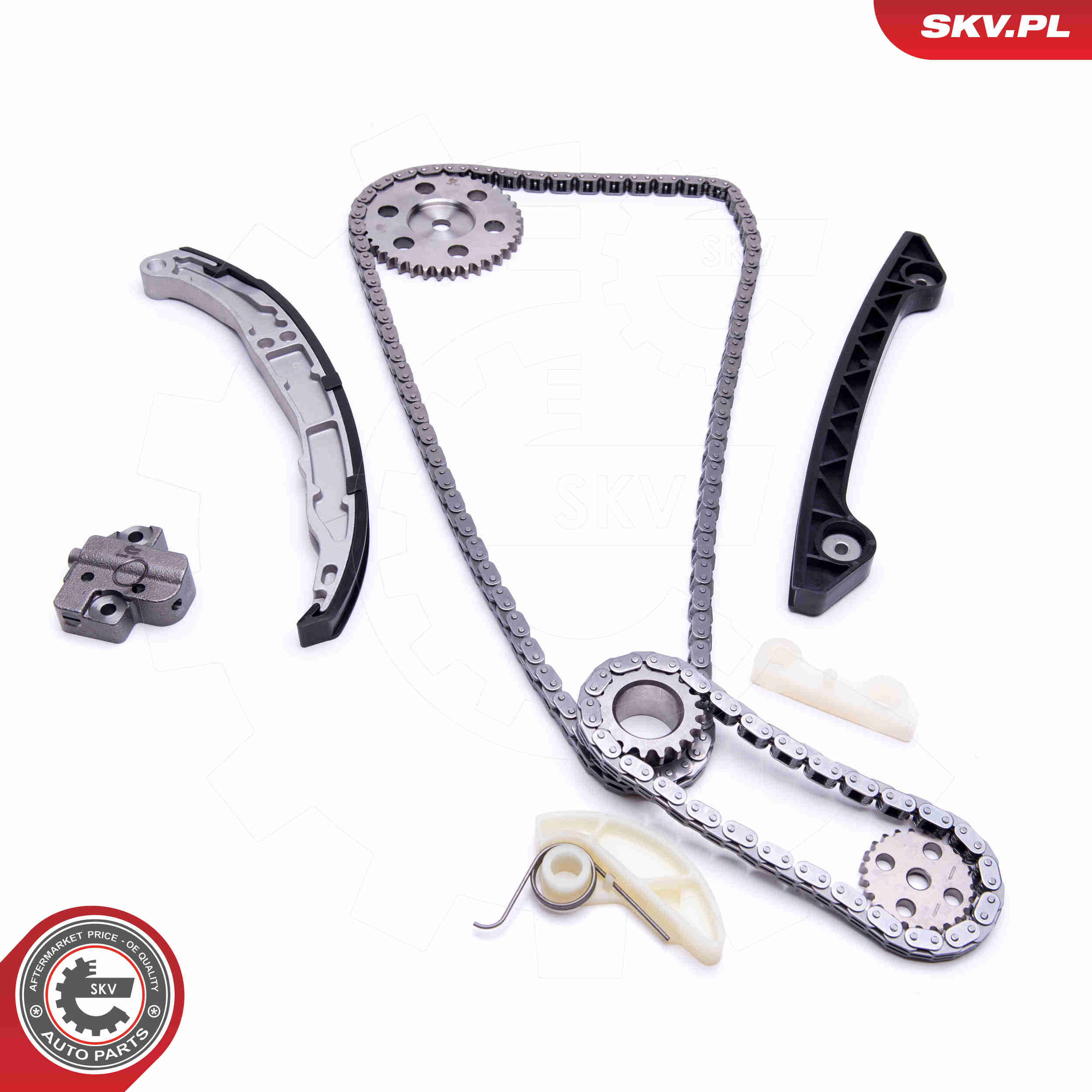 Timing Chain Kit - 21SKV242 ESEN SKV