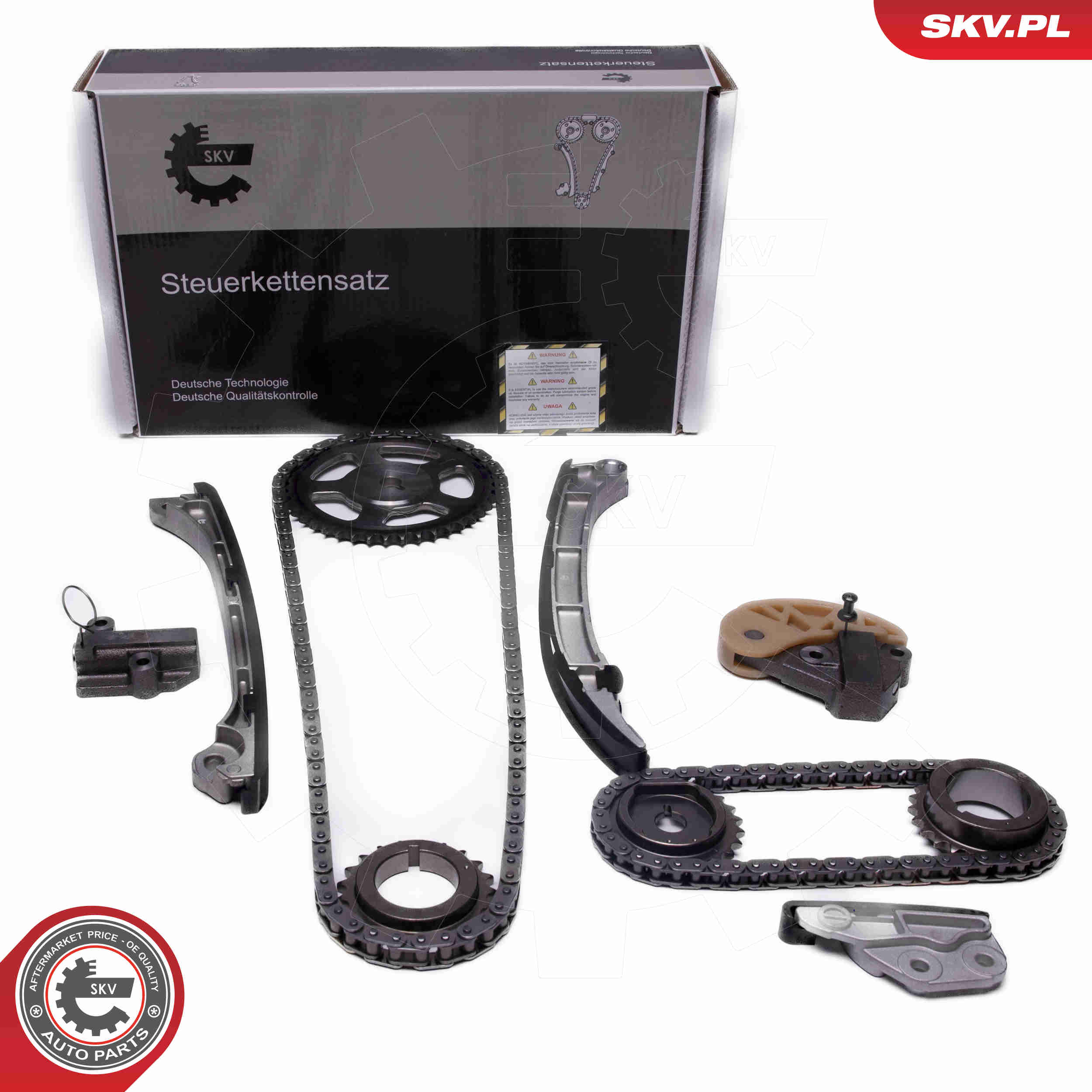 Kit catena distribuzione - 21SKV250 ESEN SKV