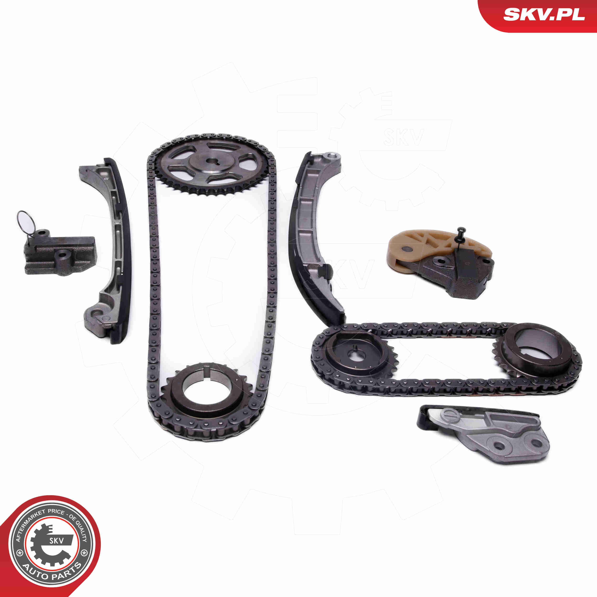Timing Chain Kit - 21SKV250 ESEN SKV