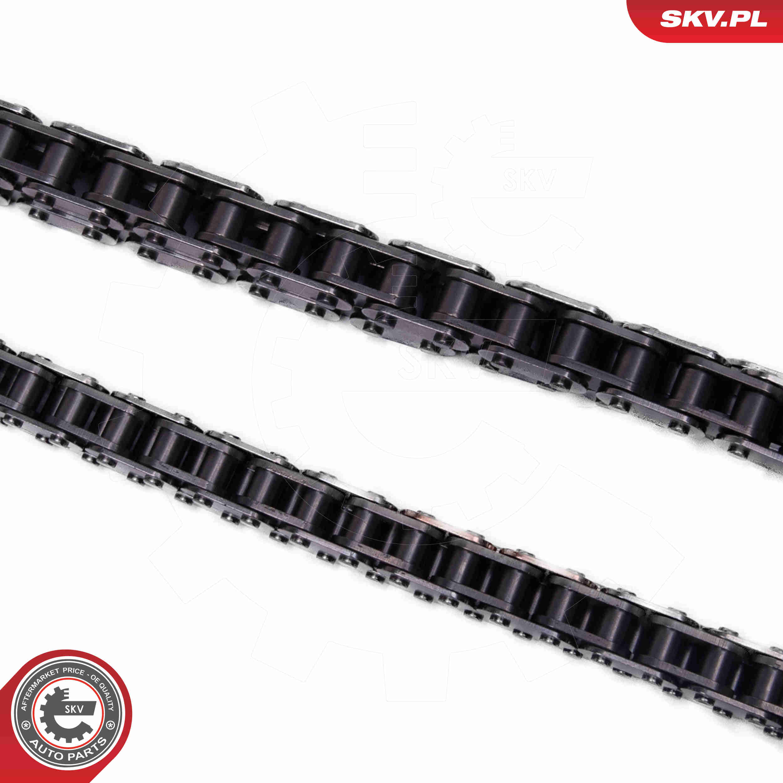 Timing Chain Kit - 21SKV250 ESEN SKV