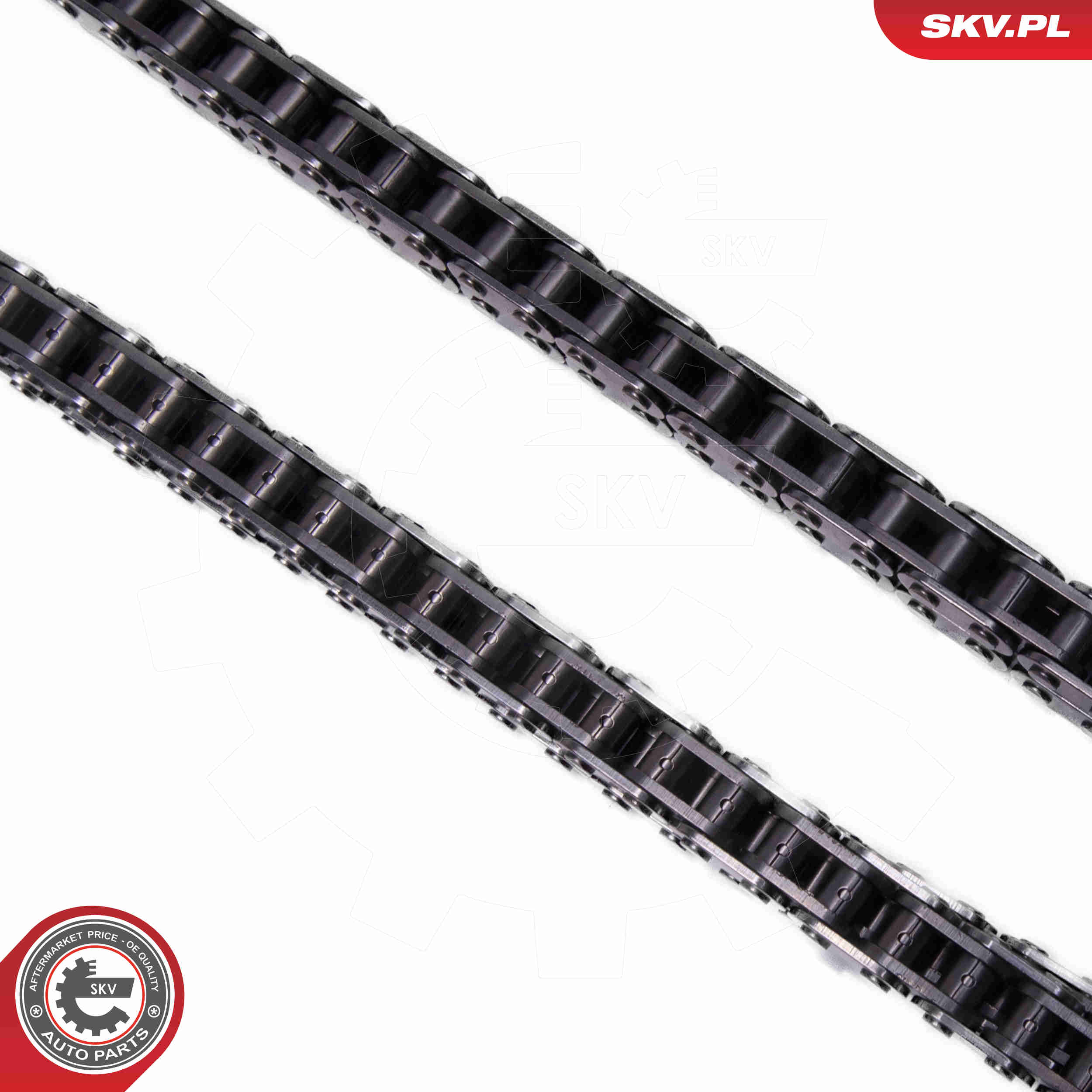 Timing Chain Kit - 21SKV257 ESEN SKV