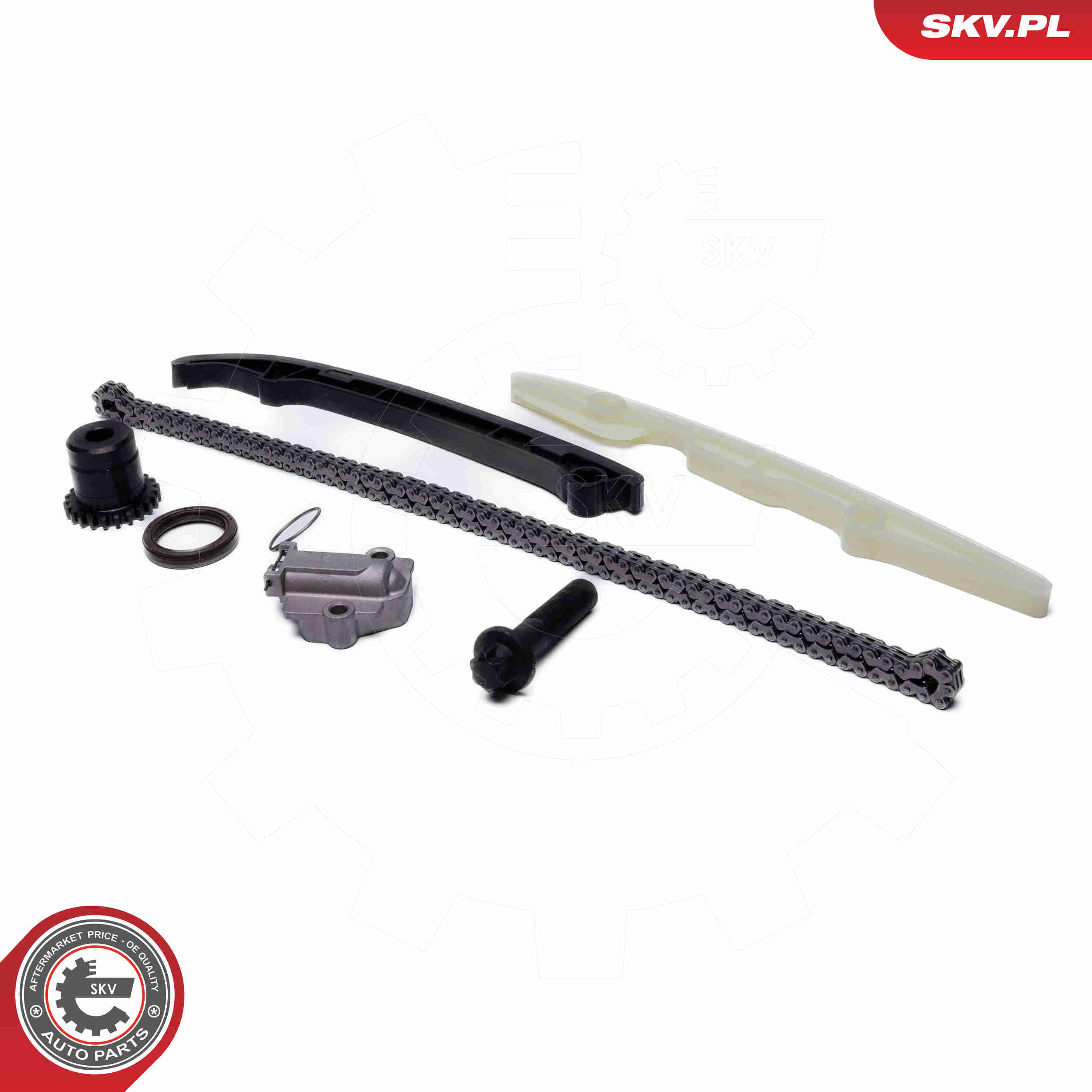 Timing Chain Kit - 21SKV262 ESEN SKV