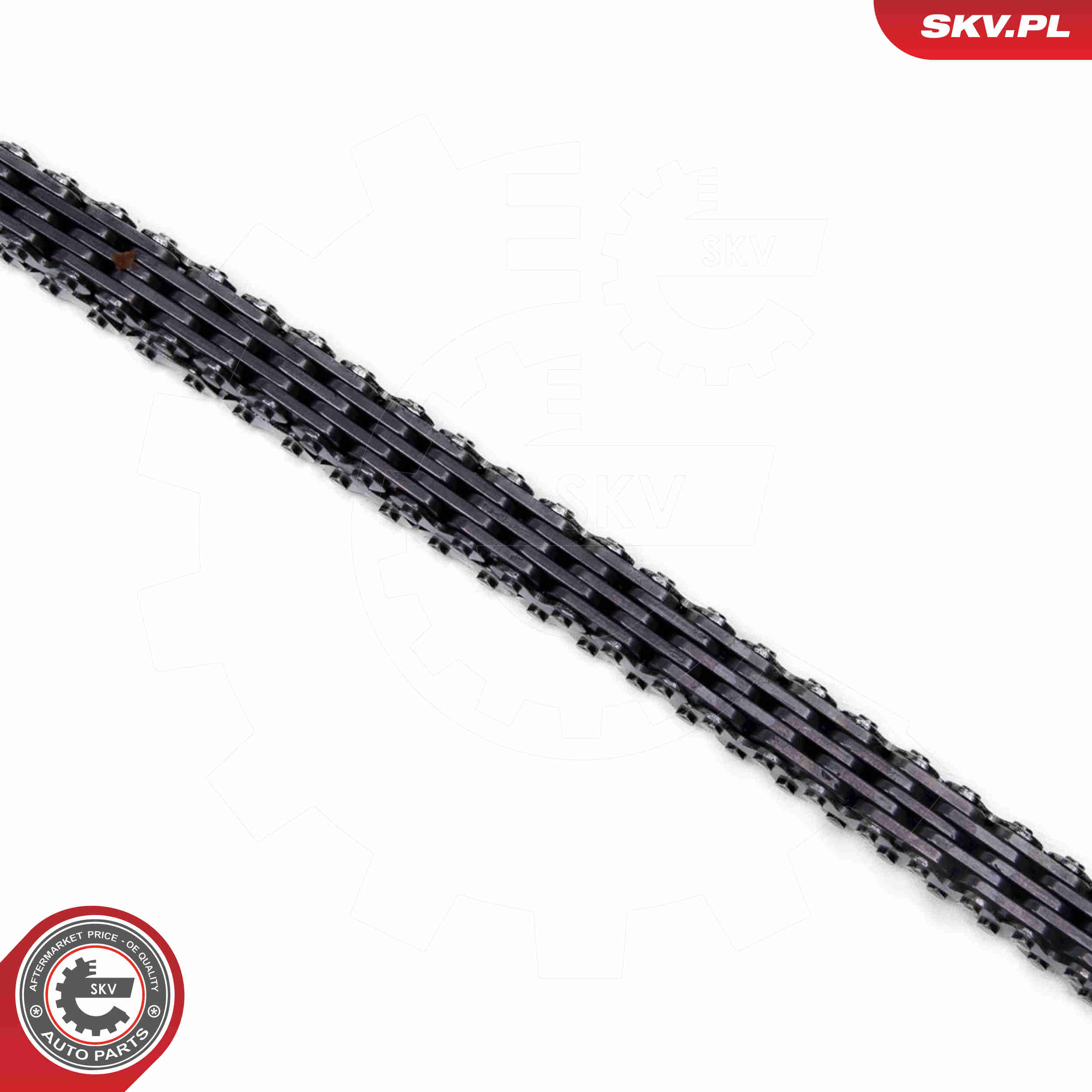 Timing Chain Kit - 21SKV262 ESEN SKV