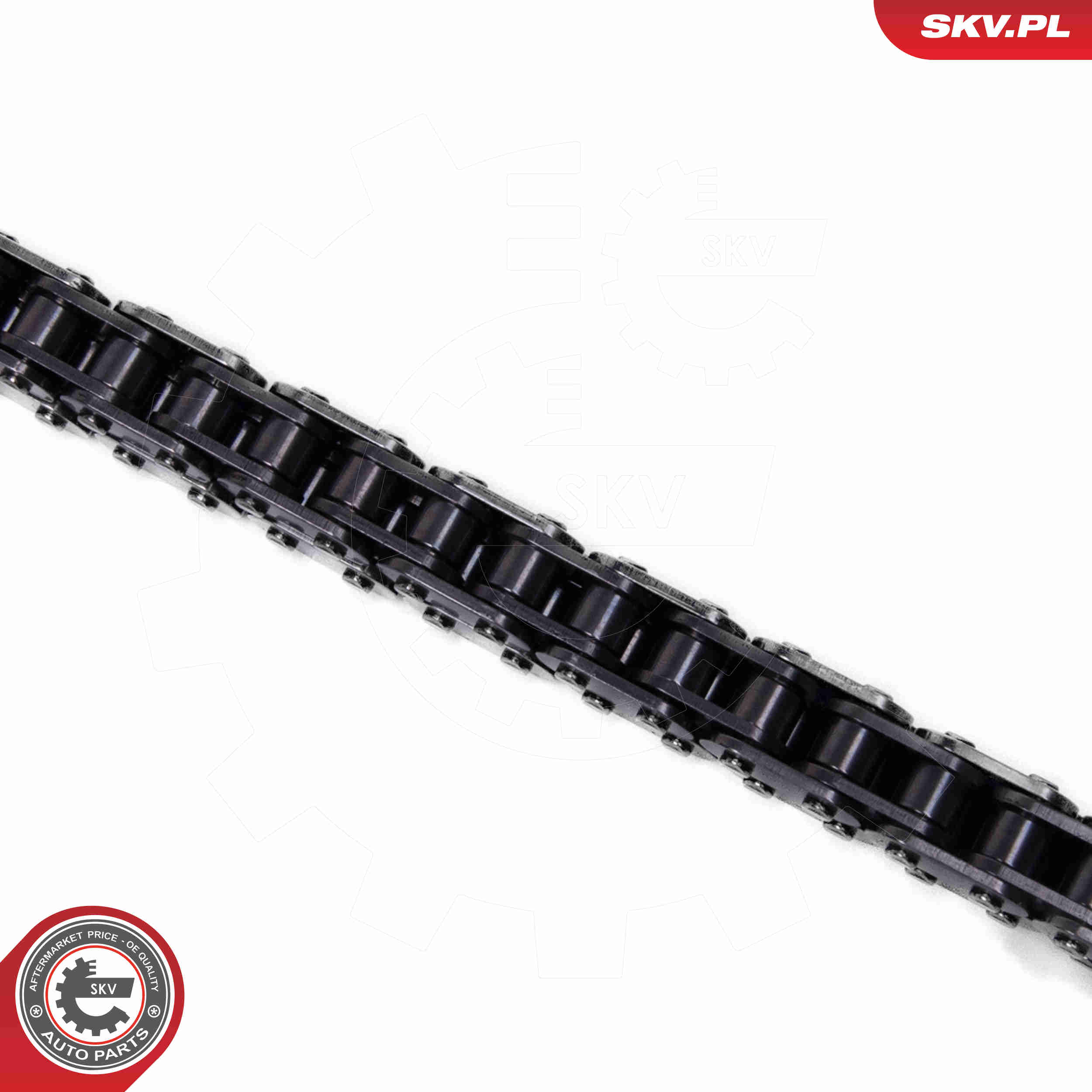 Kit catena distribuzione - 21SKV266 ESEN SKV