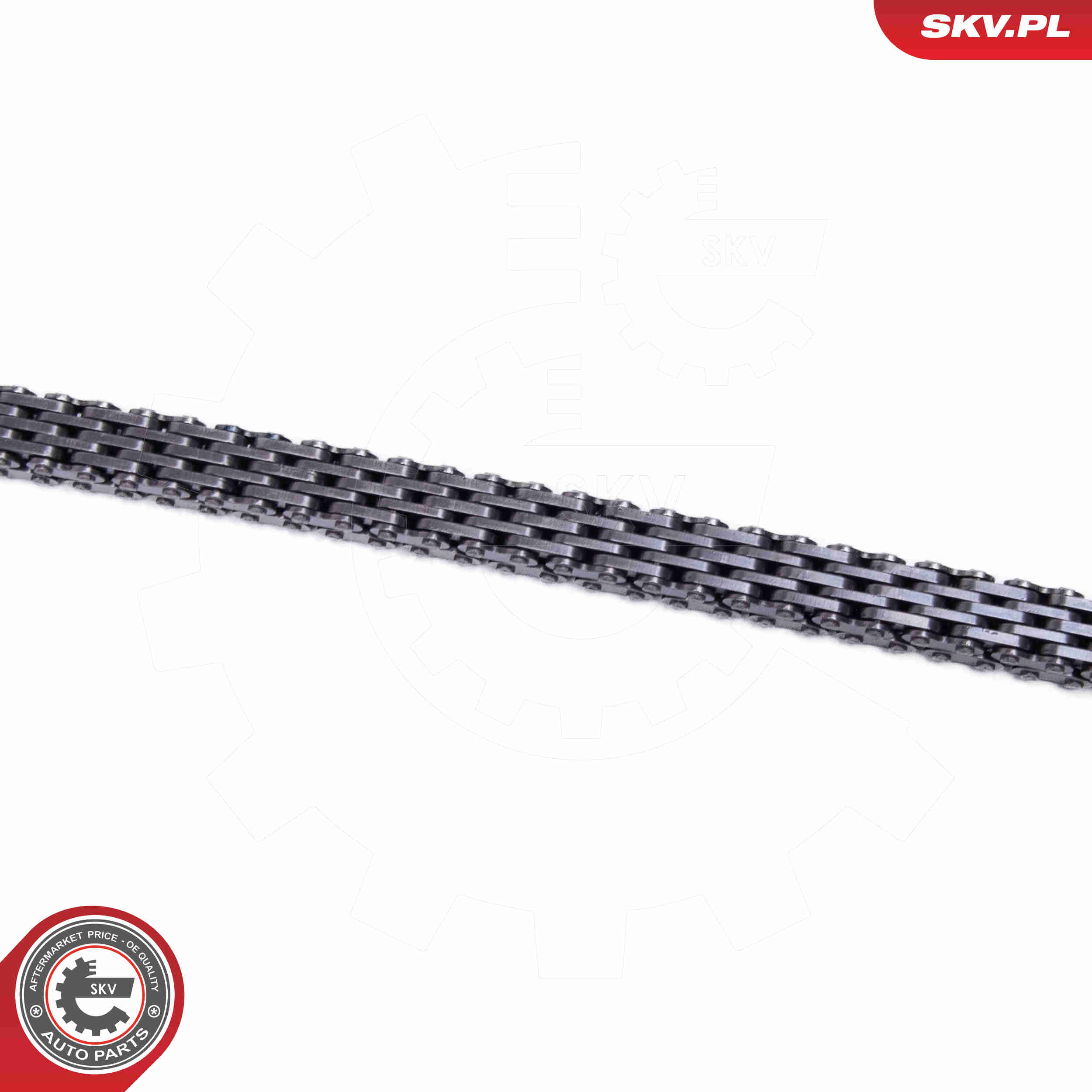 Timing Chain Kit - 21SKV271 ESEN SKV