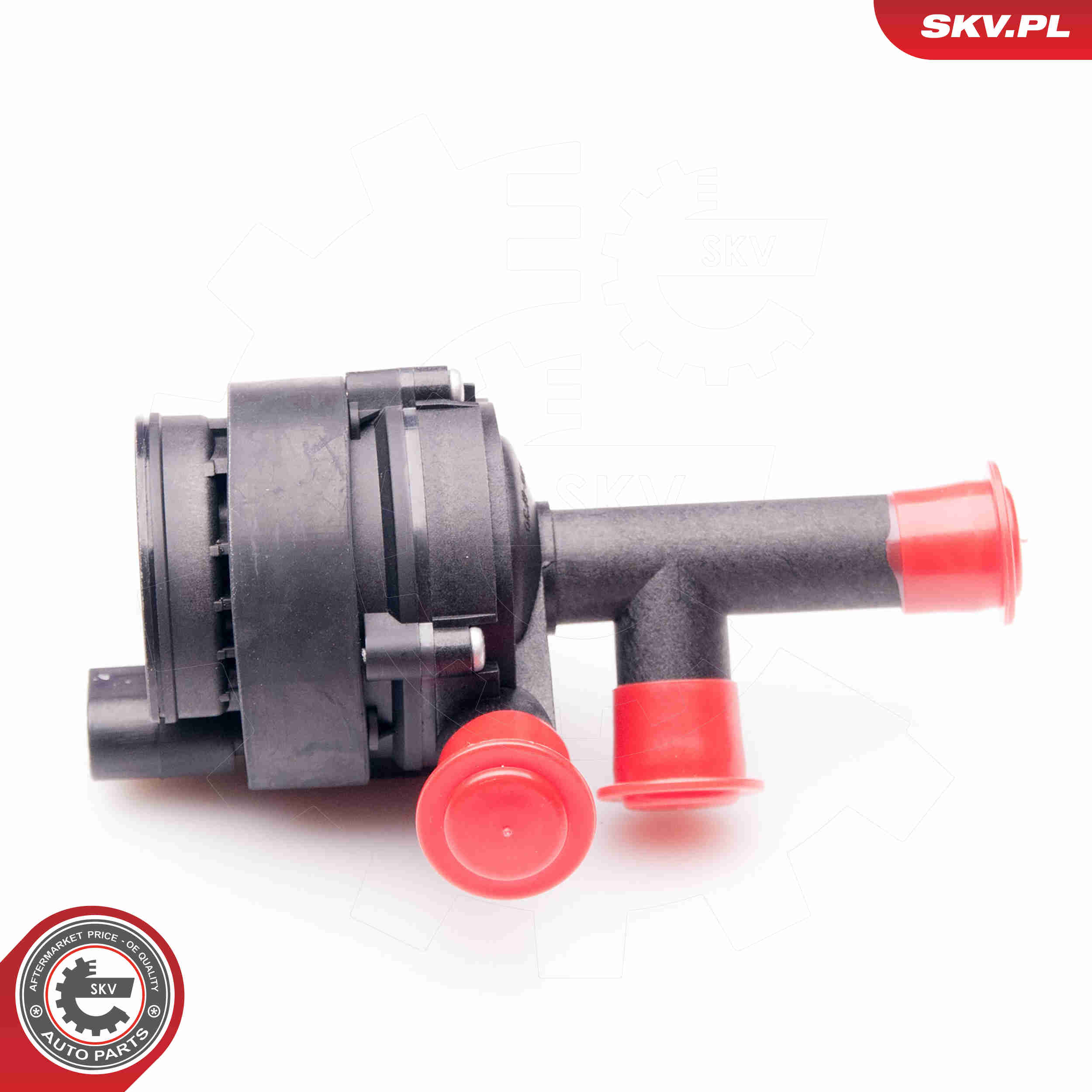 Water Pump, parking heater - 22SKV023 ESEN SKV