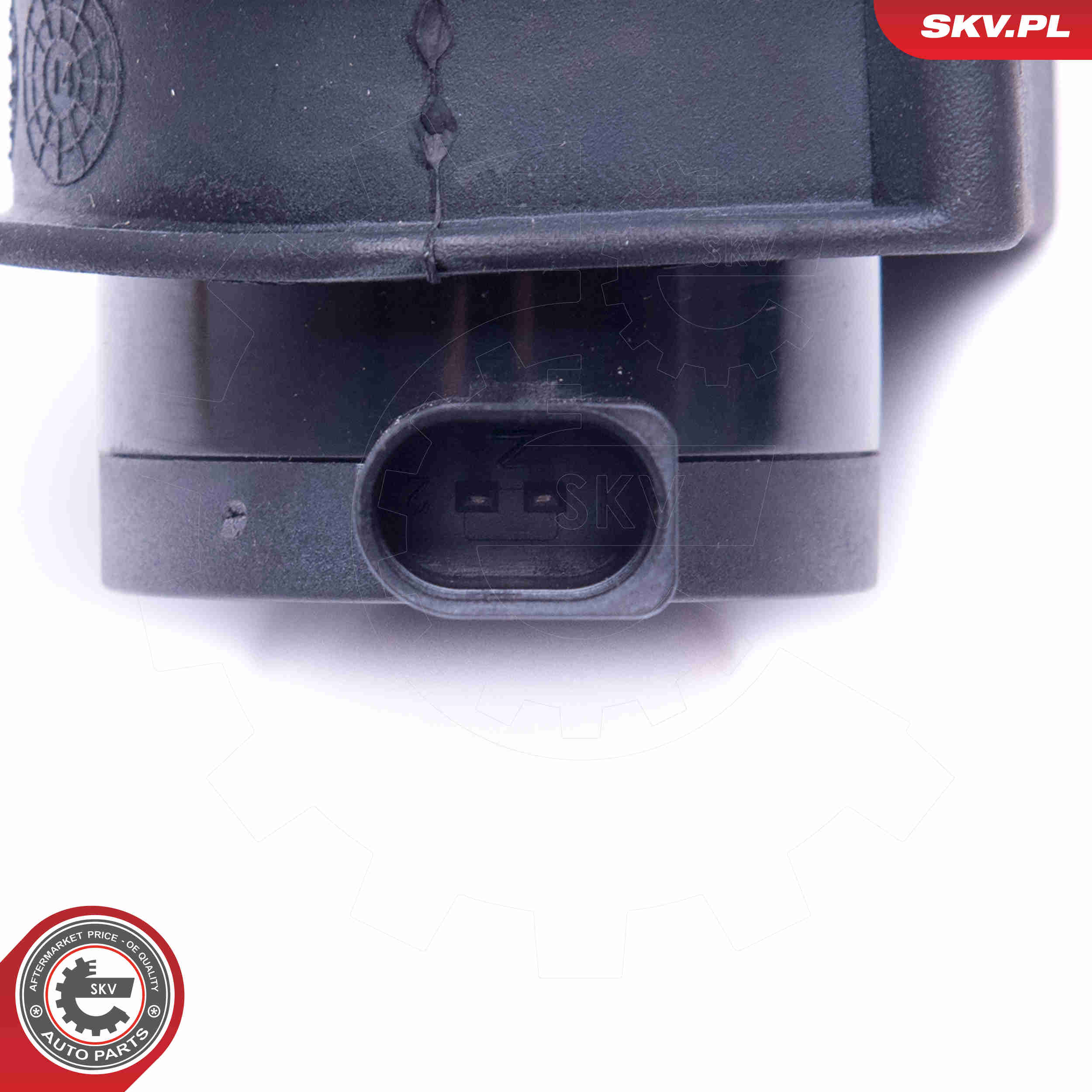 Water Pump, parking heater - 22SKV027 ESEN SKV