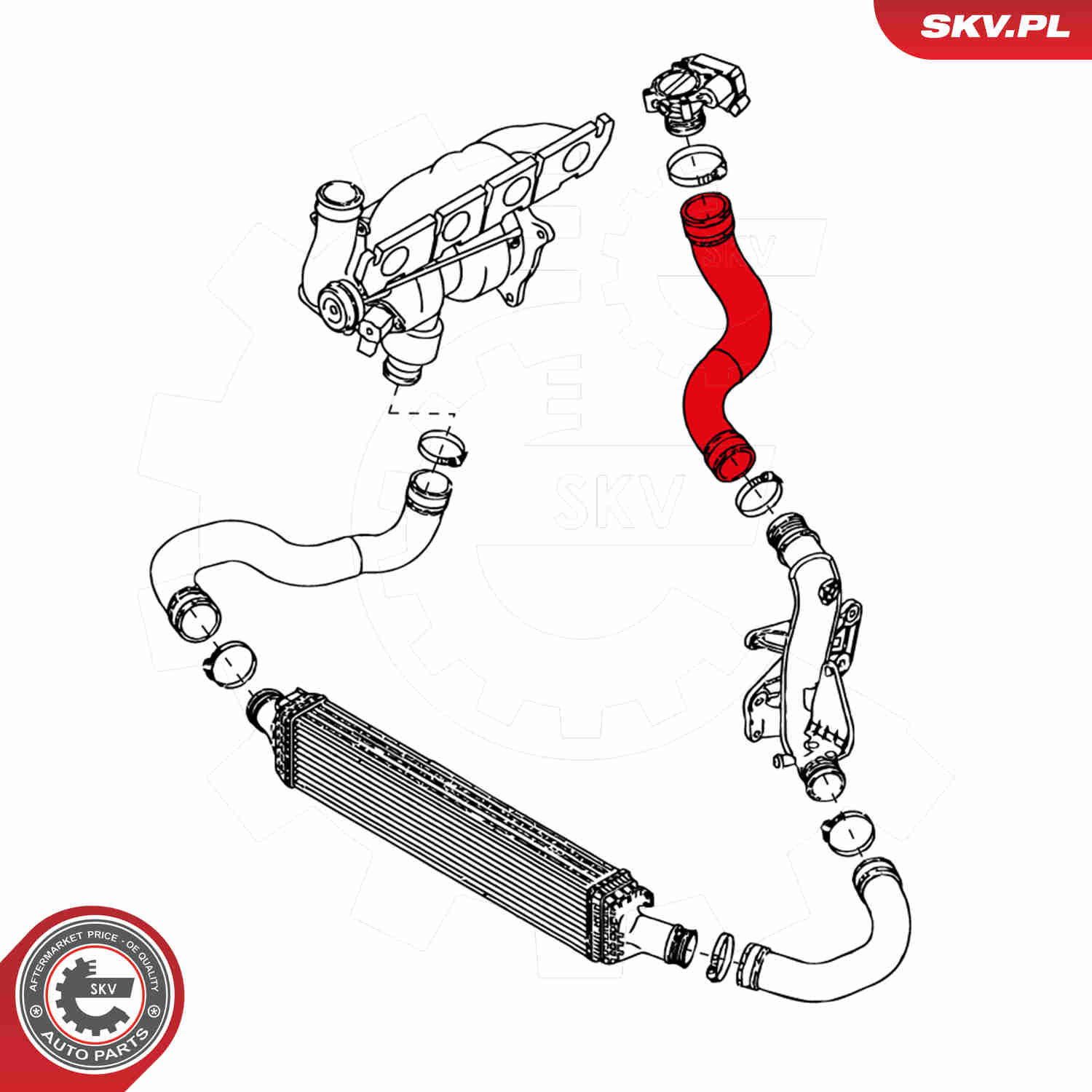 Charger Air Hose - 24SKV122 ESEN SKV
